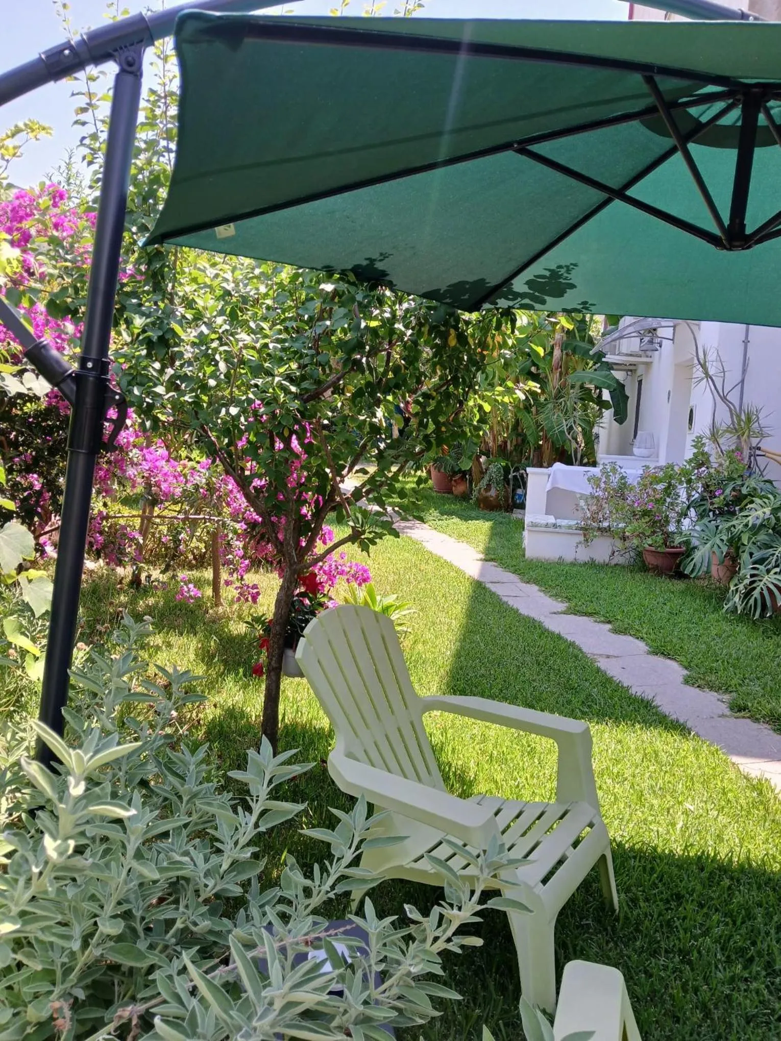 Garden in B&B Kamalei Tropea