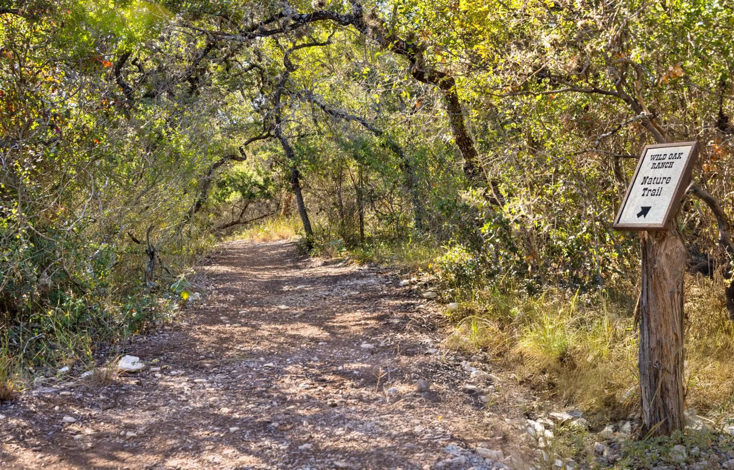 Natural landscape in Hyatt Vacation Club at Wild Oak Ranch