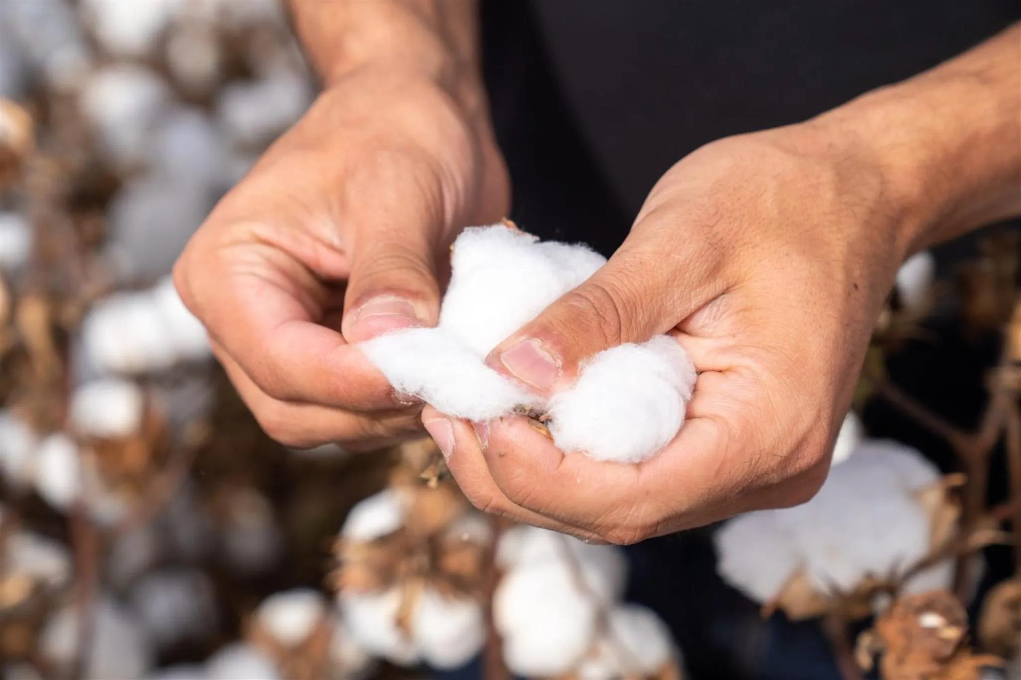 Activities in The Gem Hotel