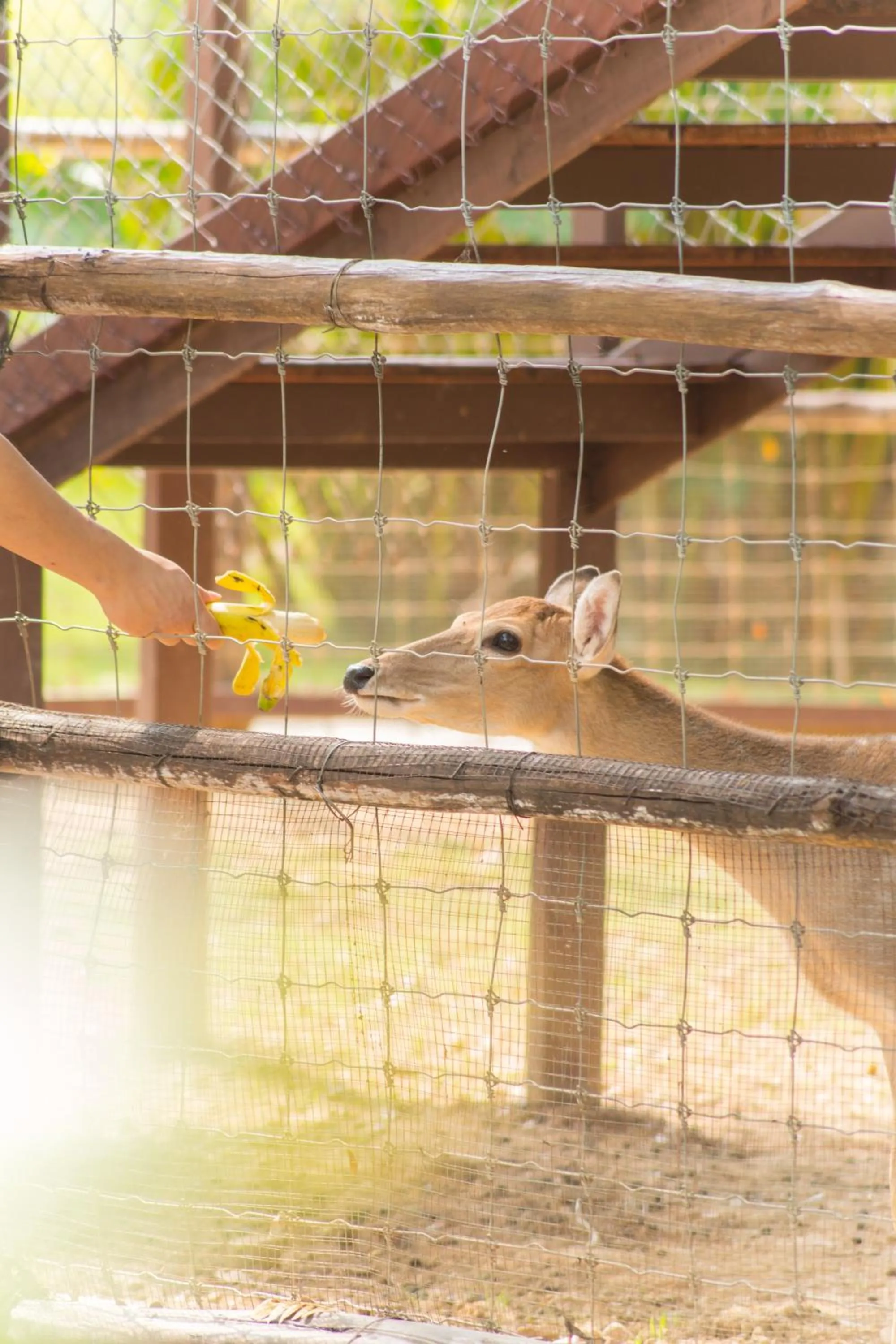 The Tree Riverside Resort Kaeng Krachan