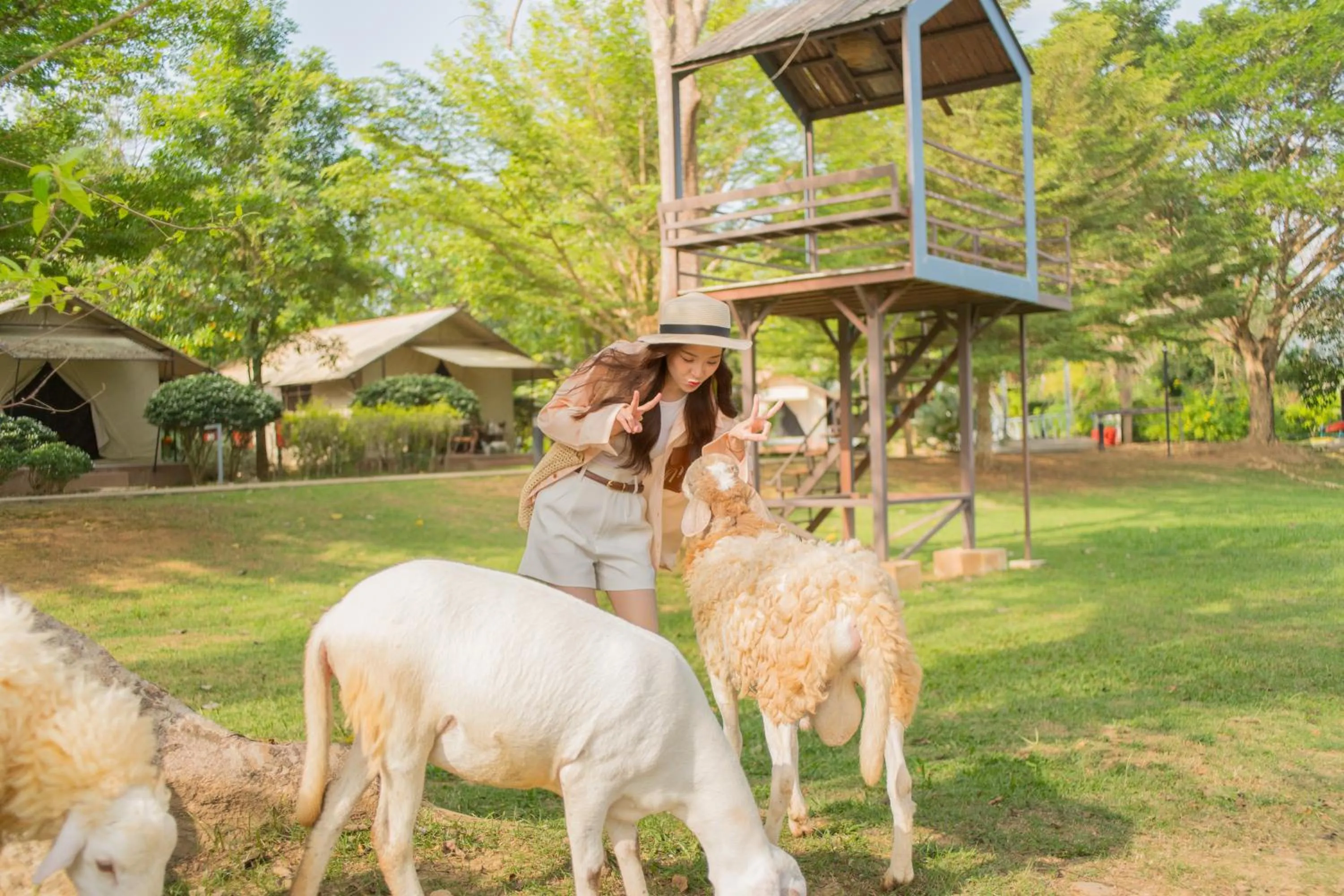 The Tree Riverside Resort Kaeng Krachan