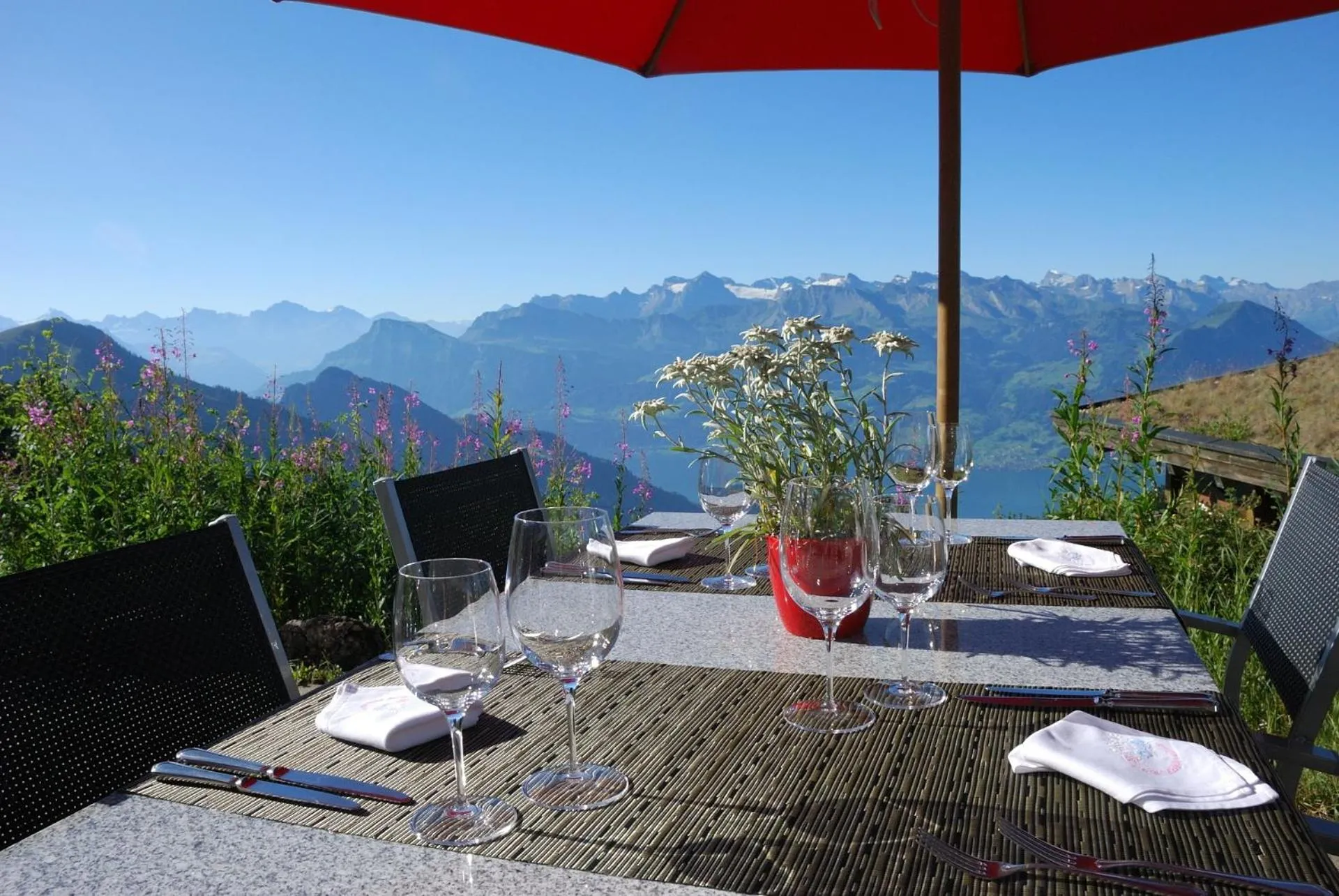 Restaurant/places to eat in Kräuterhotel Edelweiss