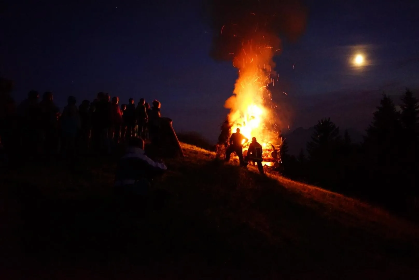 Other in Kräuterhotel Edelweiss