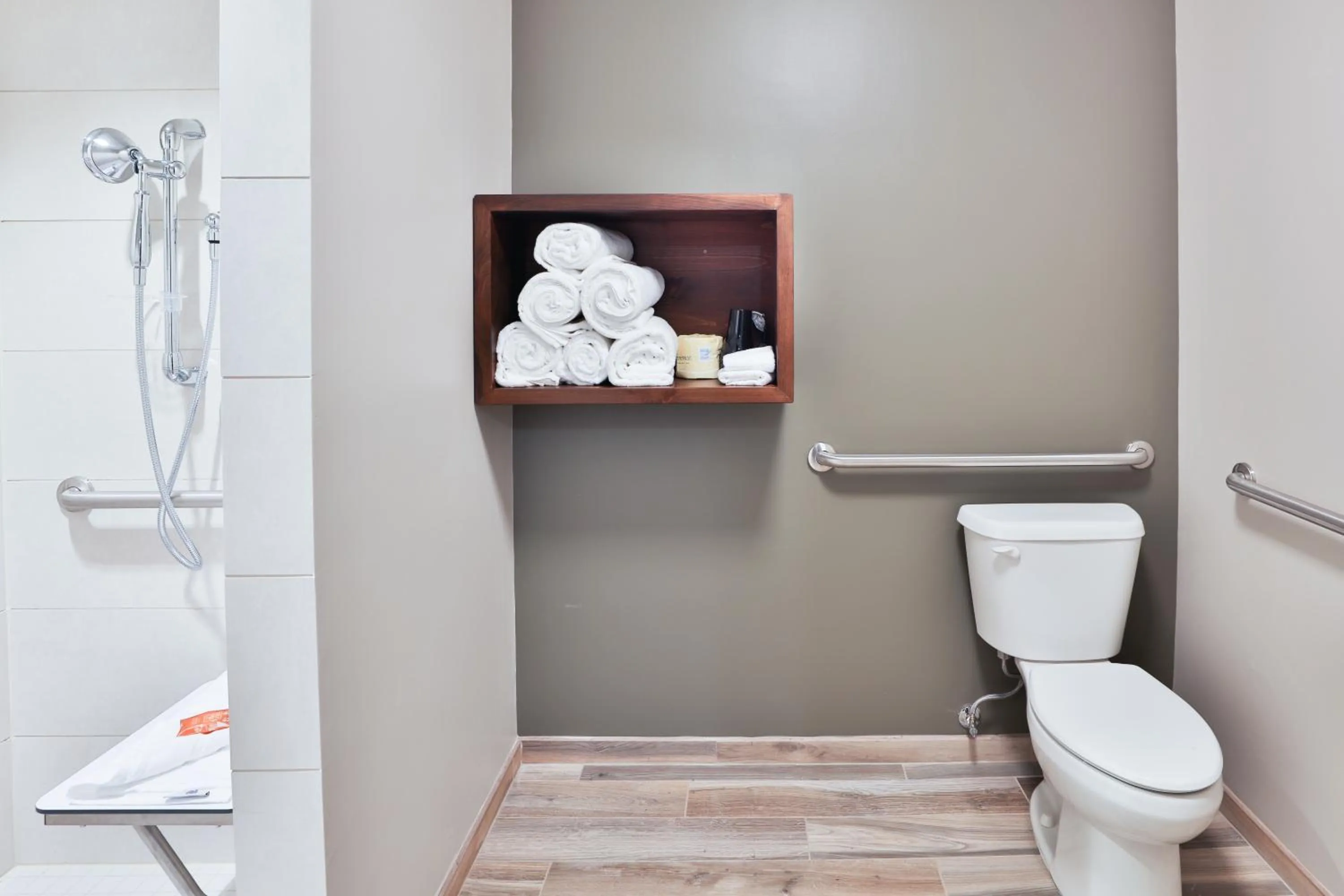 Toilet in Great Wolf Lodge Georgia