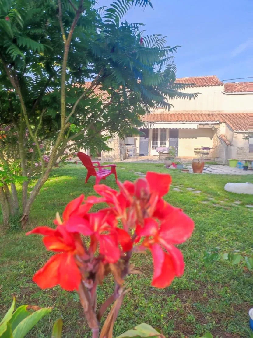 Garden in Chambres d'hôtes La Frise