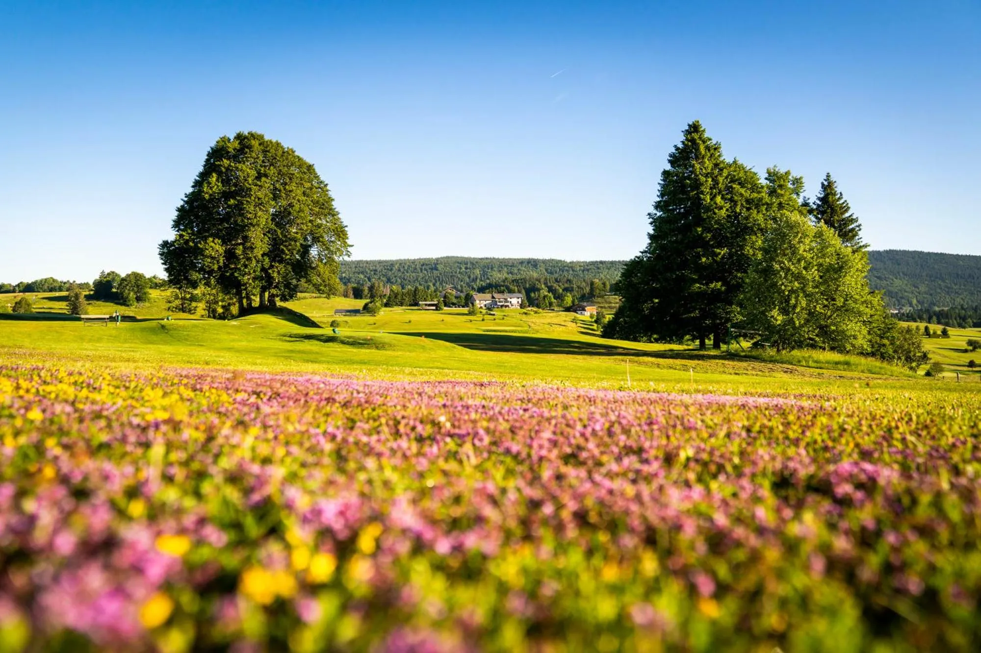 Property building in Domaine du Mont-Saint-Jean