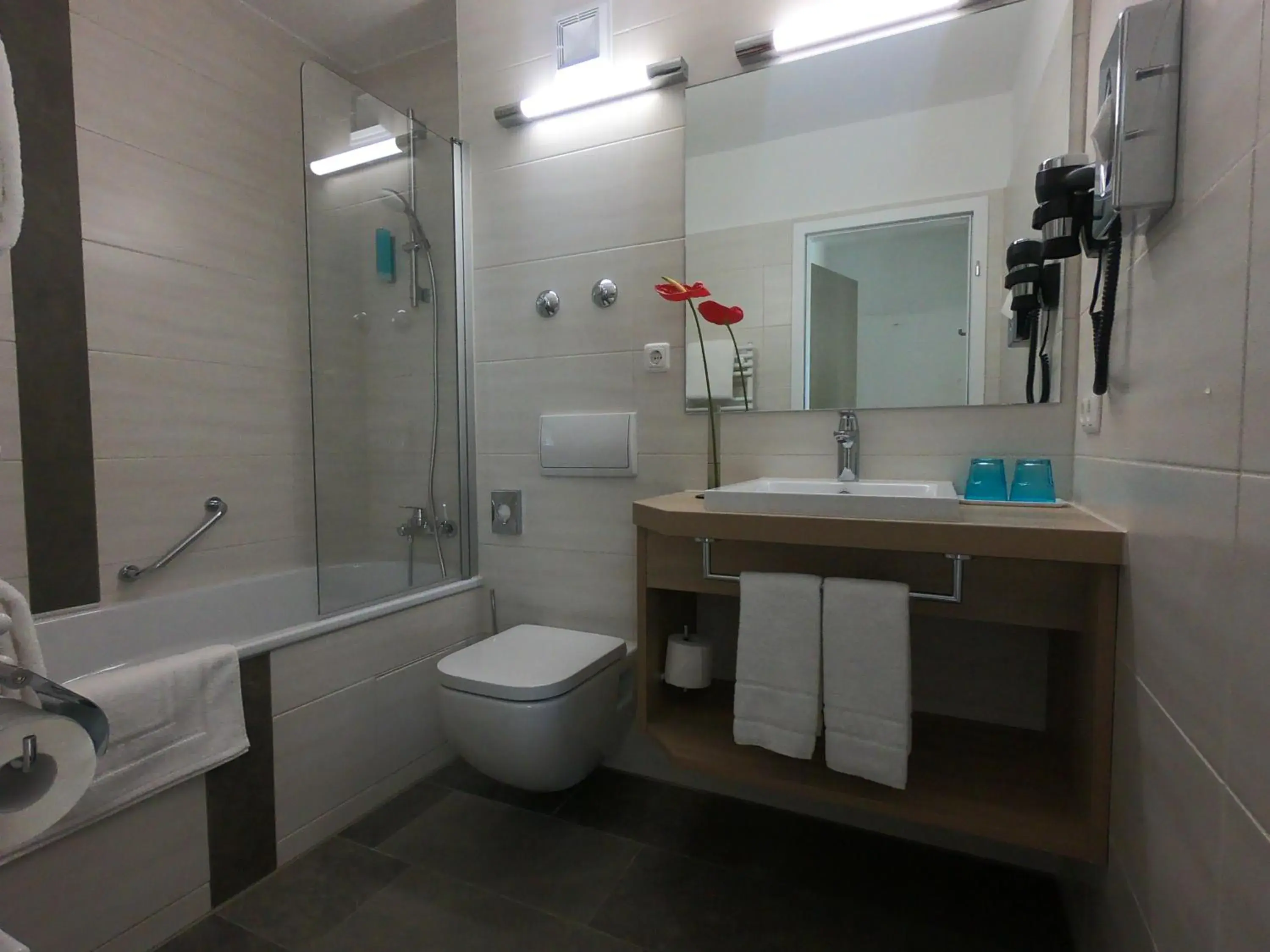 Bathroom in Hotel Amenity