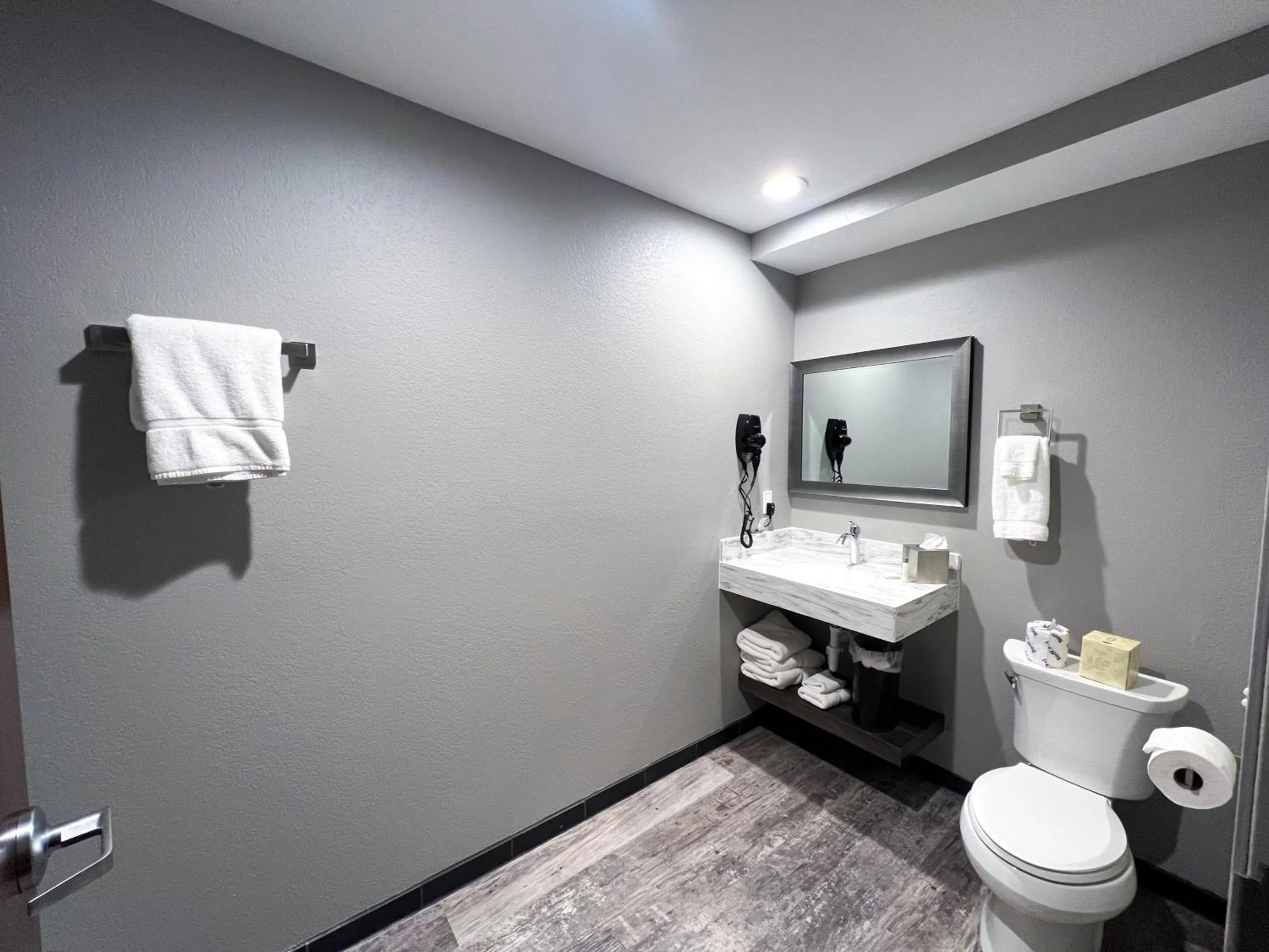 Toilet in Metropolis Resort - Eau Claire