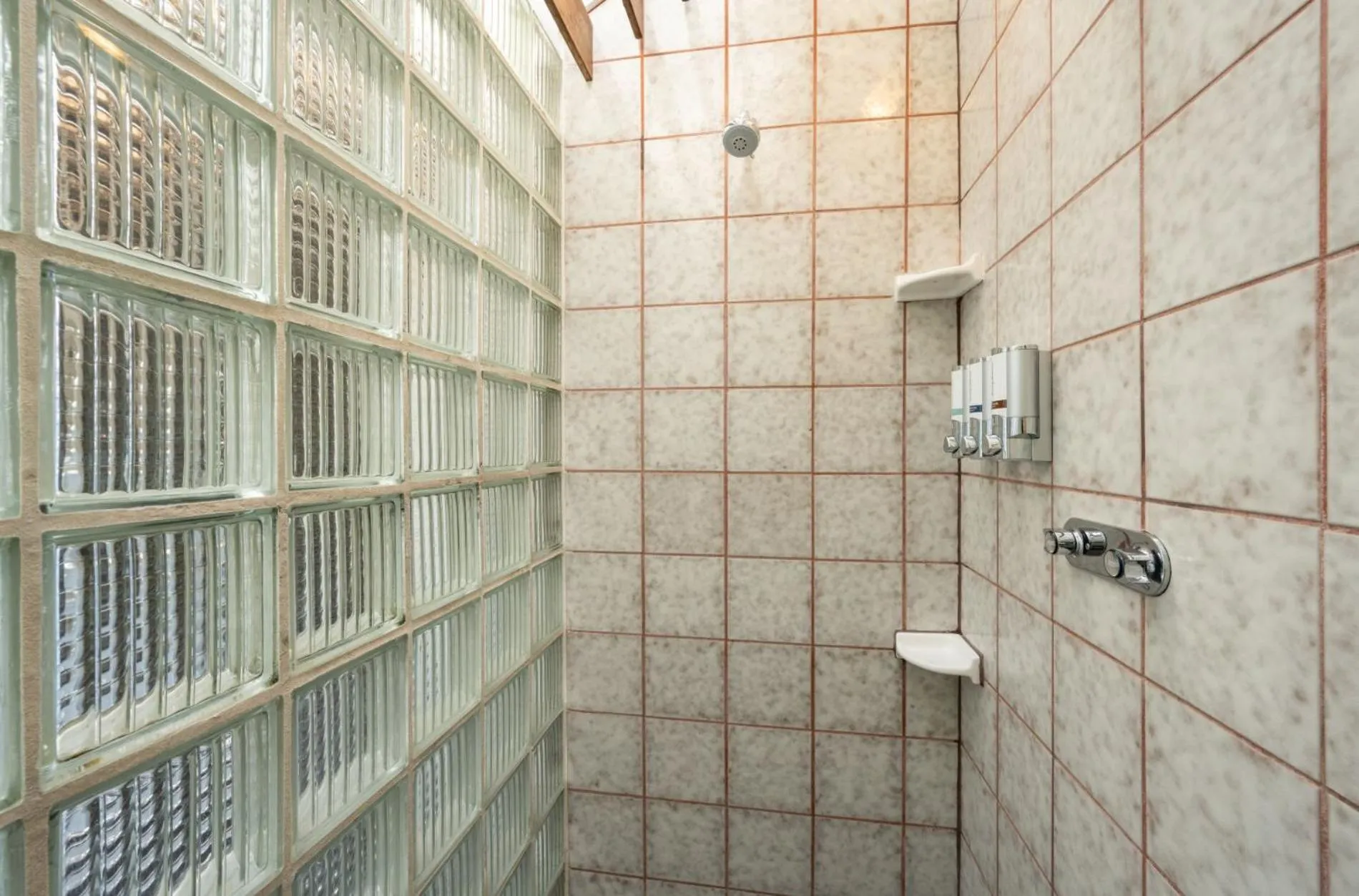 The Mermaid & The Alligator