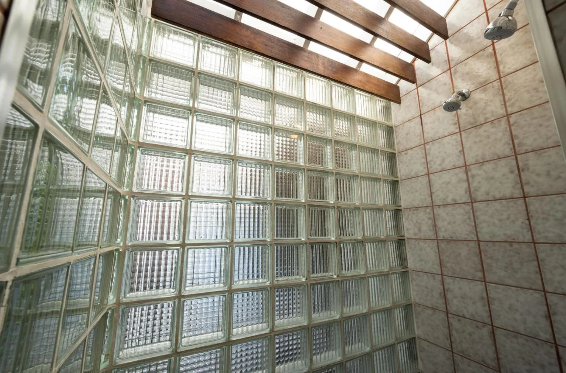 The Mermaid & The Alligator