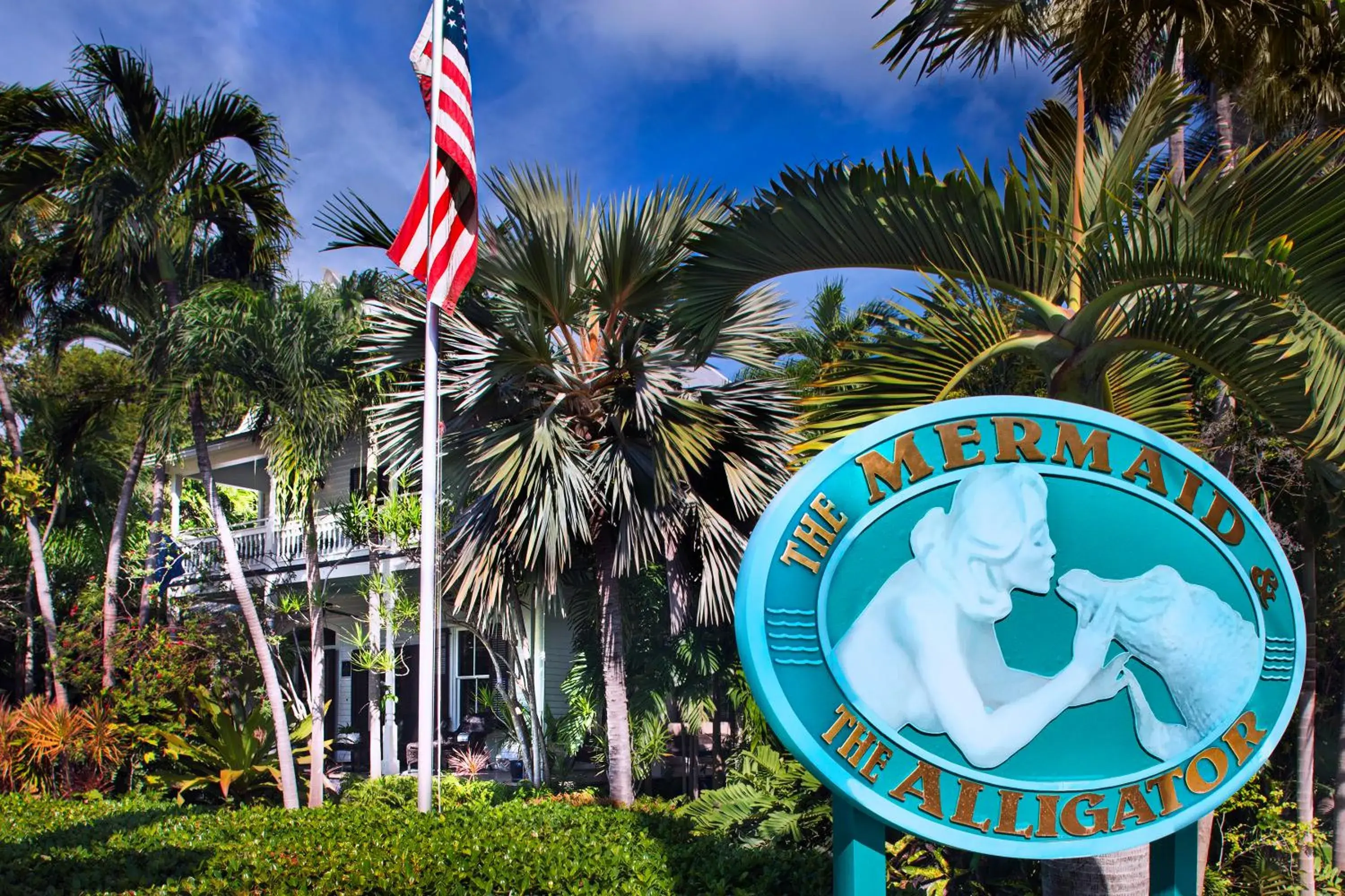 Property building in The Mermaid & The Alligator Property building in The Mermaid & The Alligator