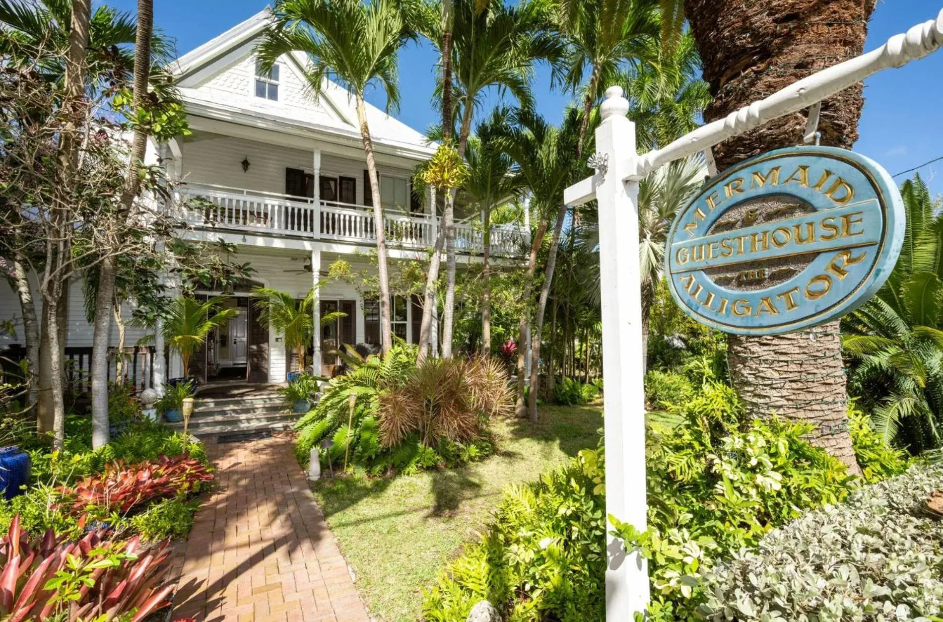 Property building in The Mermaid & The Alligator Property building in The Mermaid & The Alligator