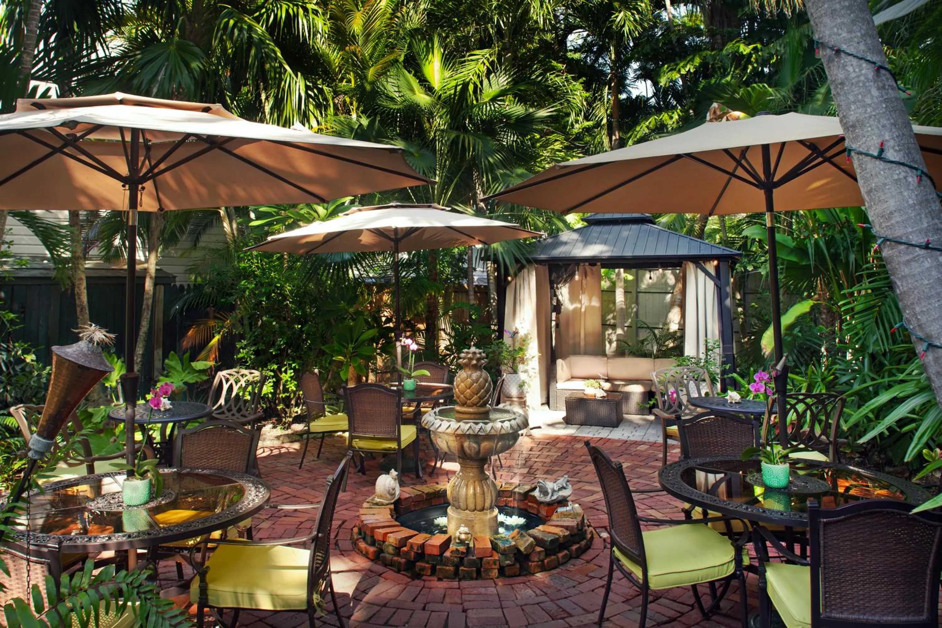 Patio in The Mermaid & The Alligator