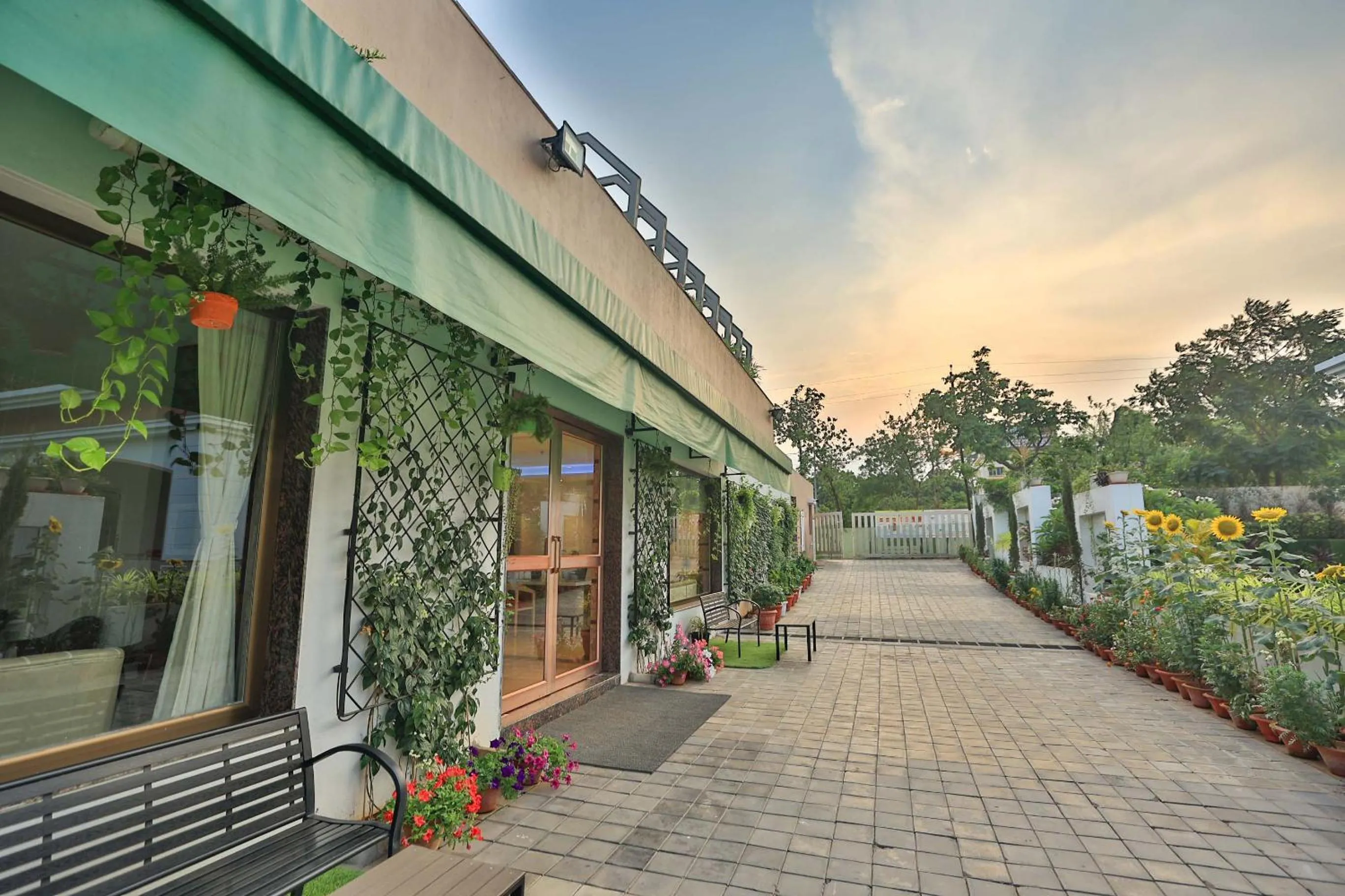 Garden in HOTEL CRYSTAL CROWN