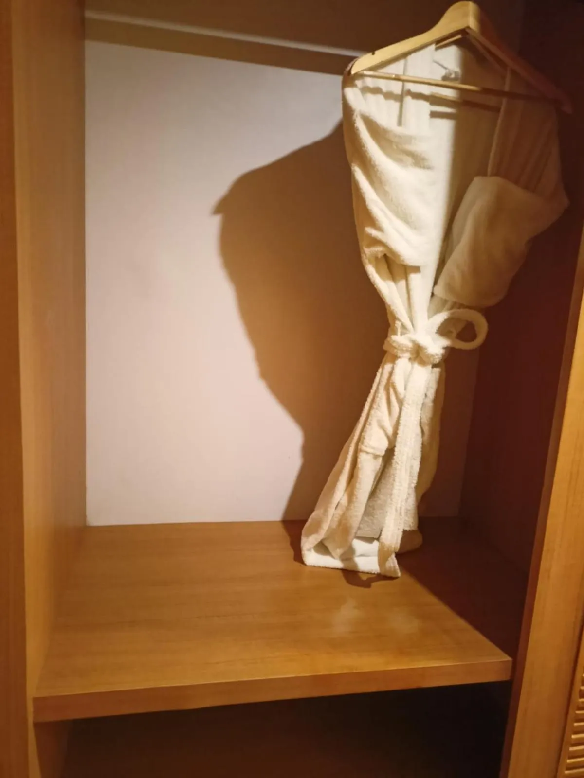 wardrobe in Abhyagama Hotel