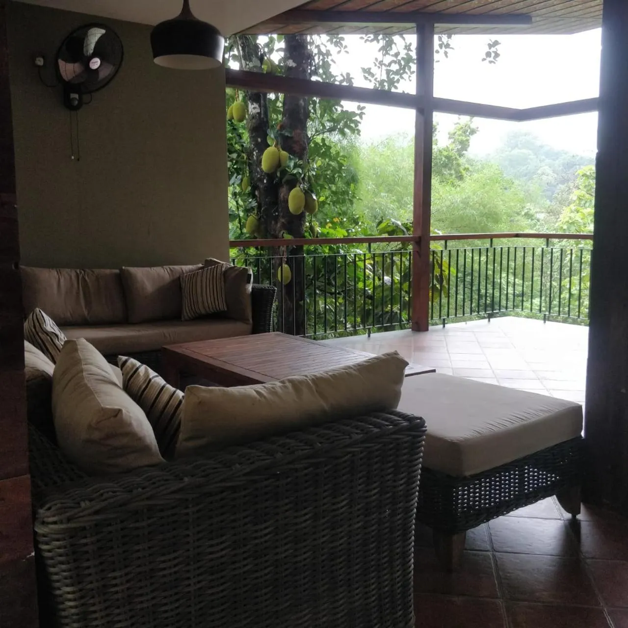 View (from property/room) in BARSATI Ranches