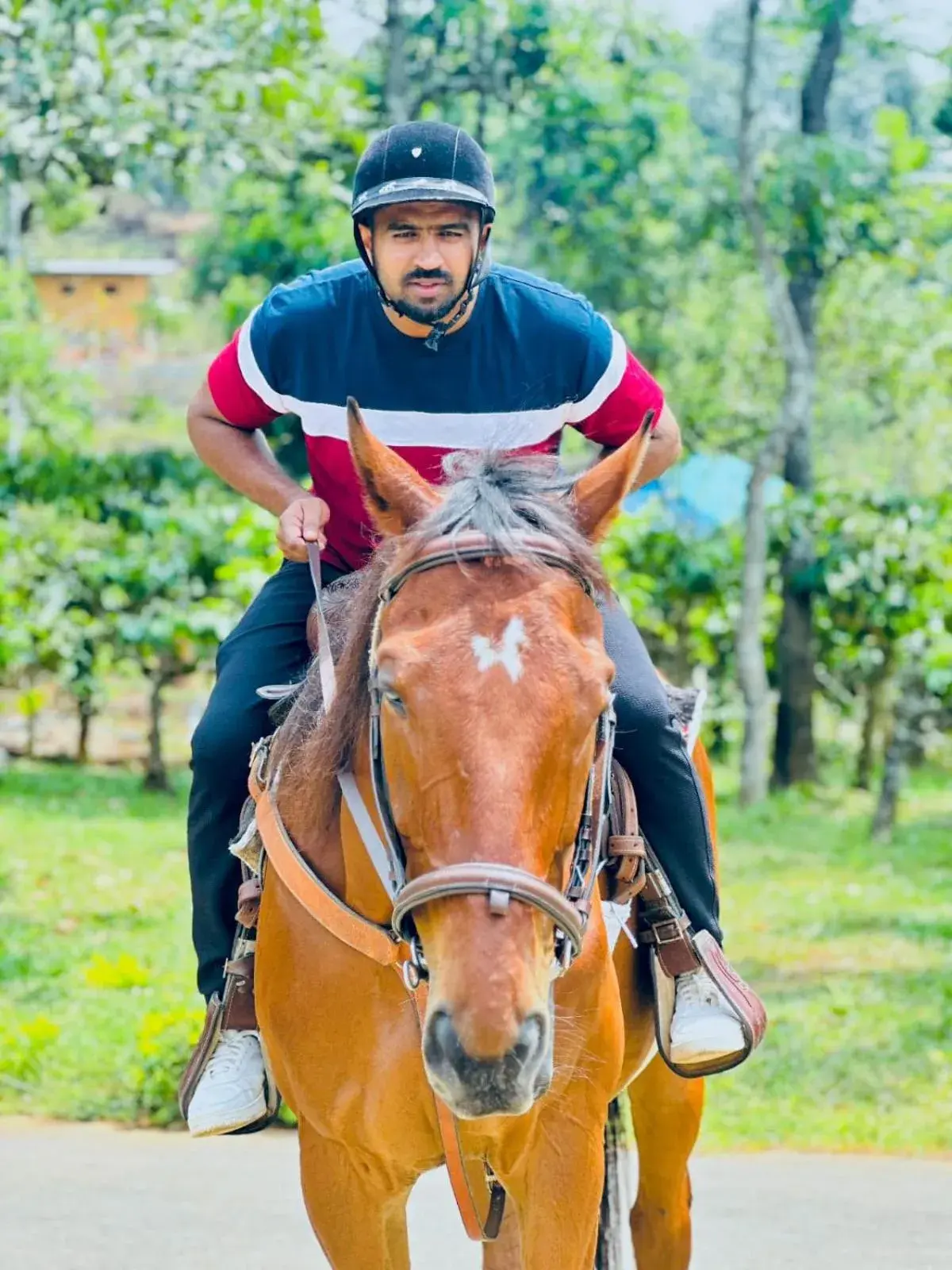 BARSATI Ranches BARSATI Ranches