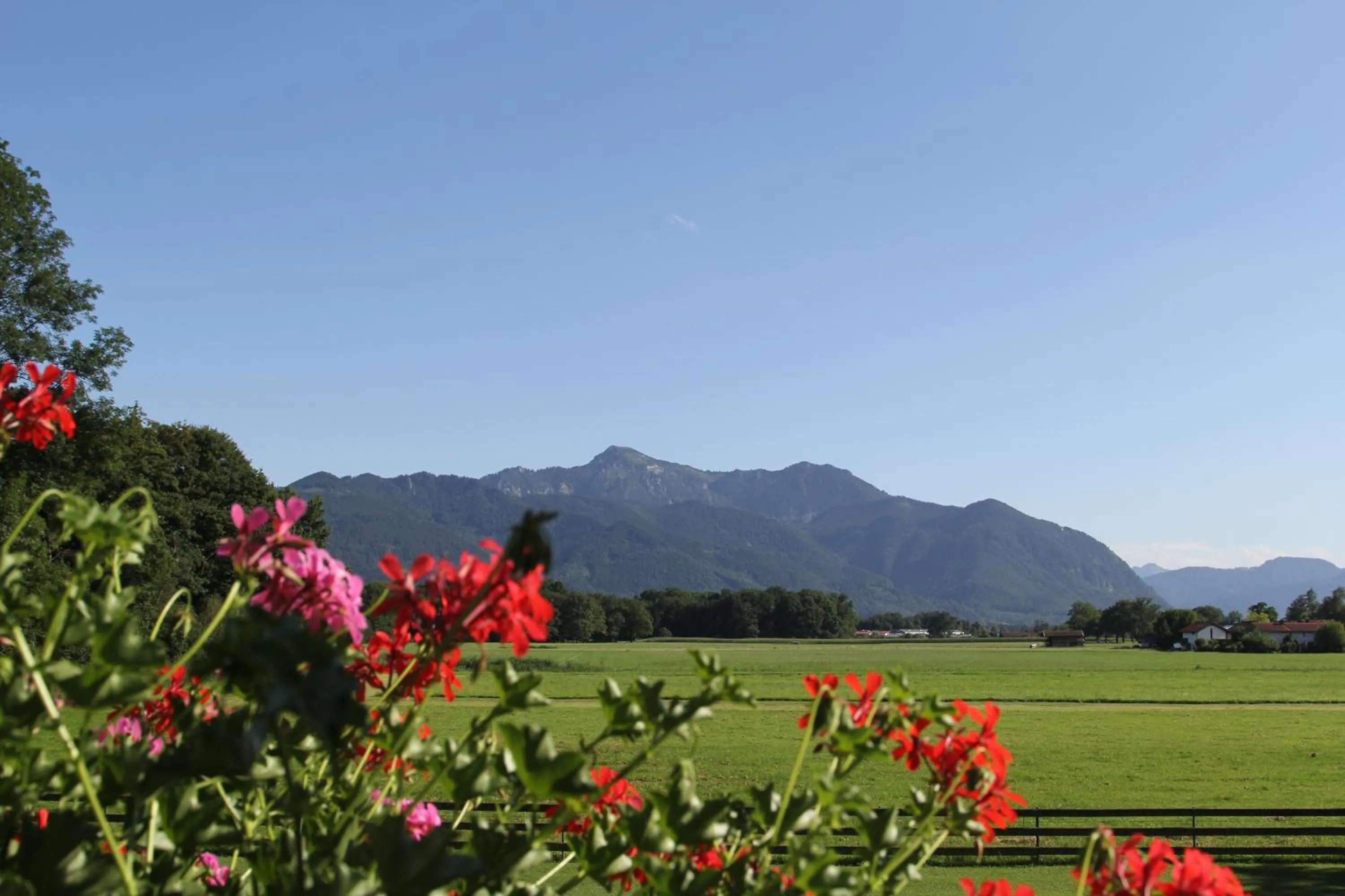 Mountain view in Haus Waldesruh