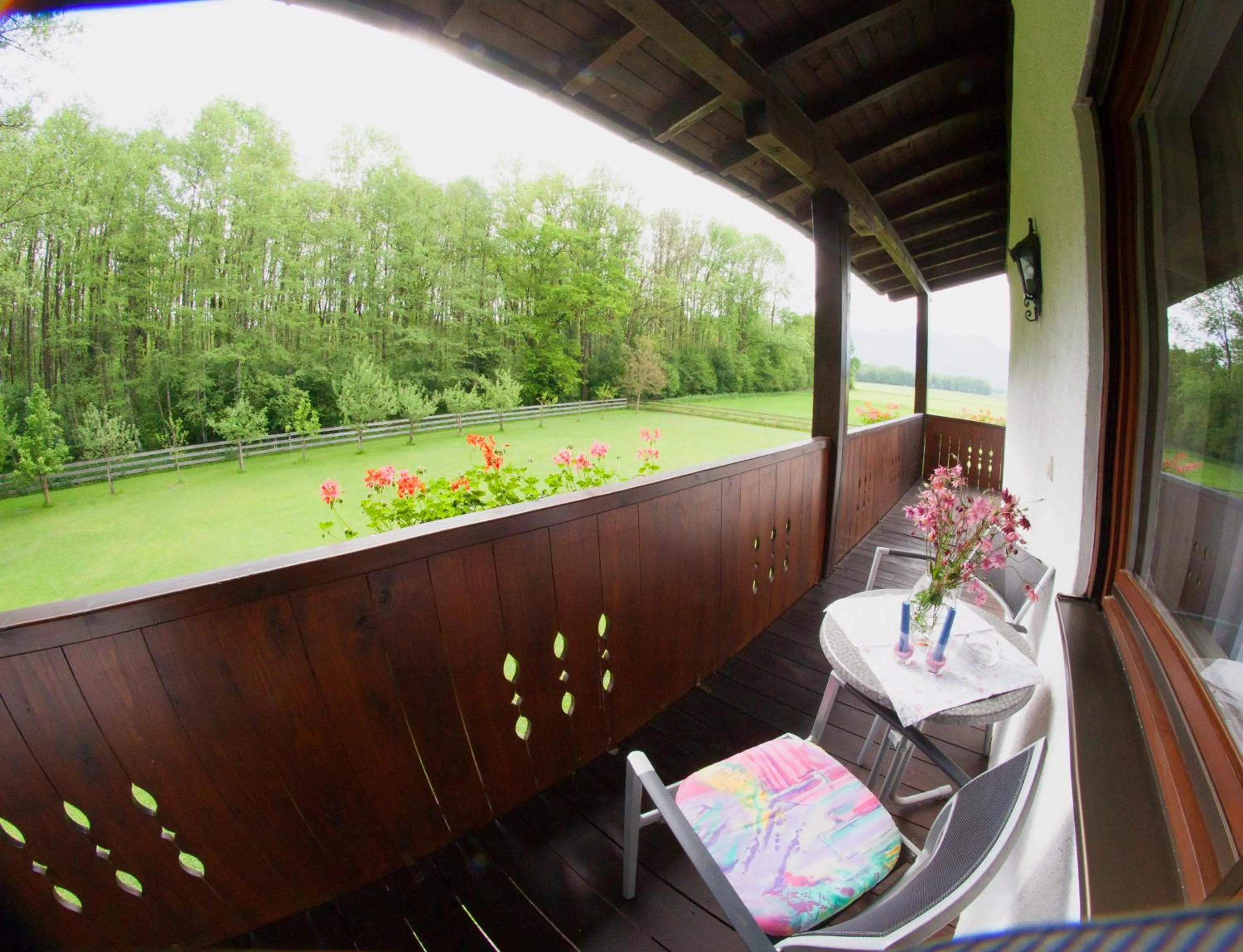 Photo of the whole room in Haus Waldesruh