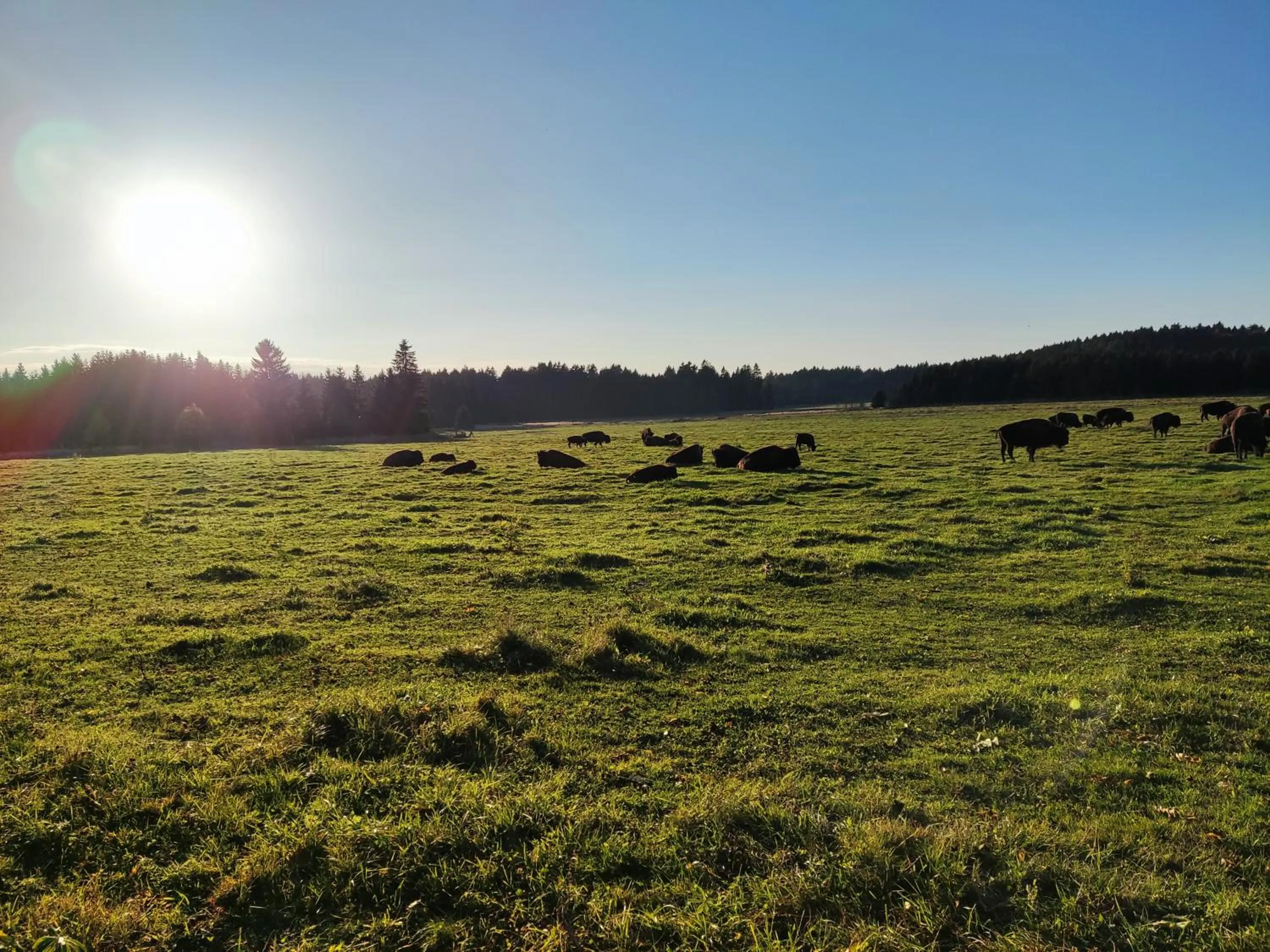Off site in Matějovec 109 & Ubytování Na statku