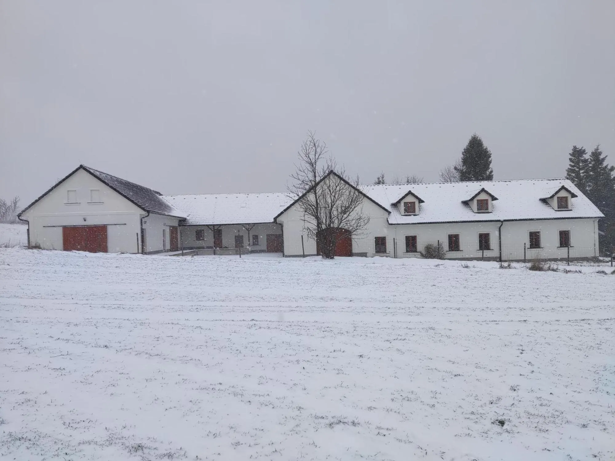 Property building in Matějovec 109 & Ubytování Na statku
