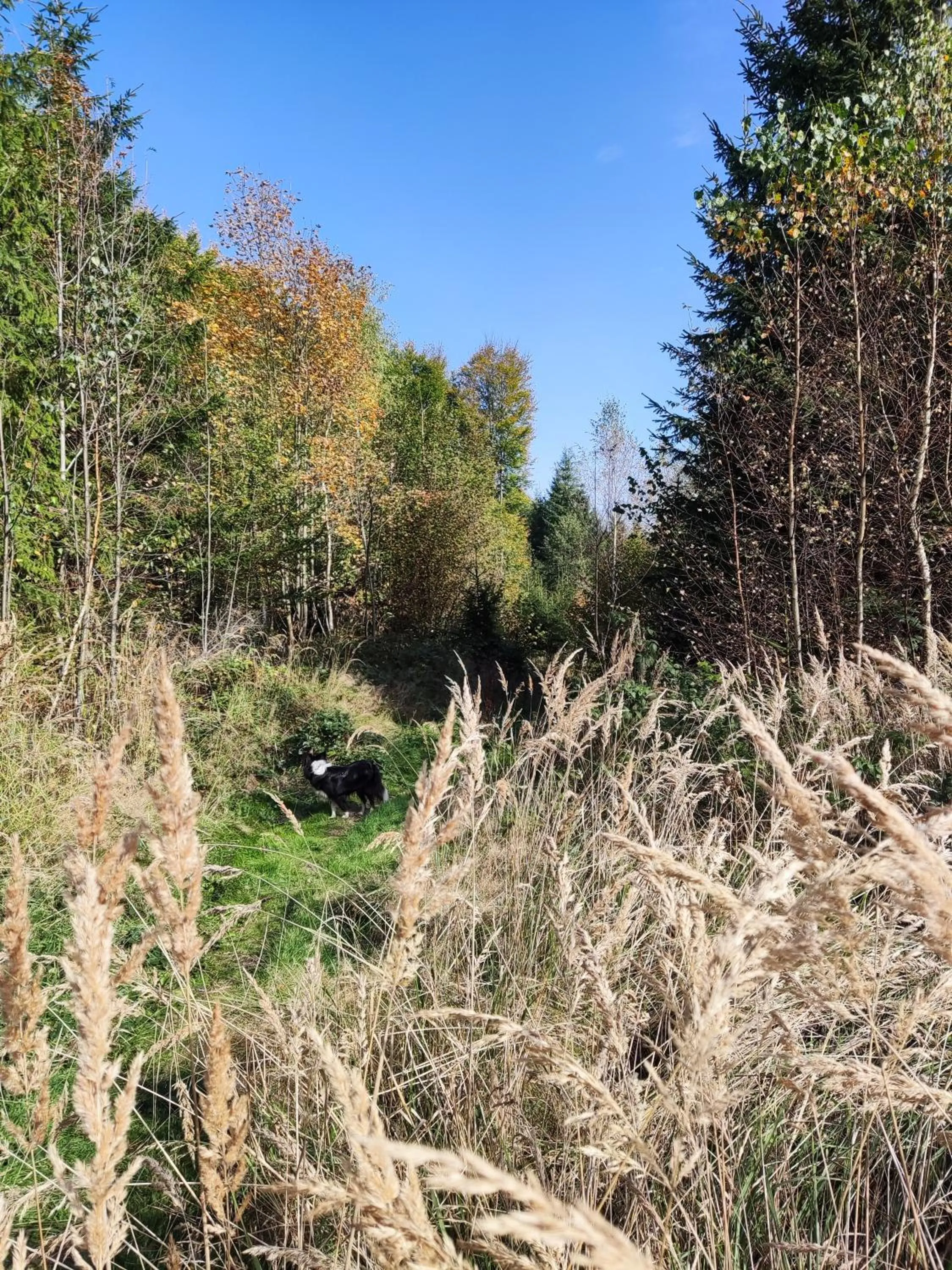Natural landscape in Matějovec 109 & Ubytování Na statku