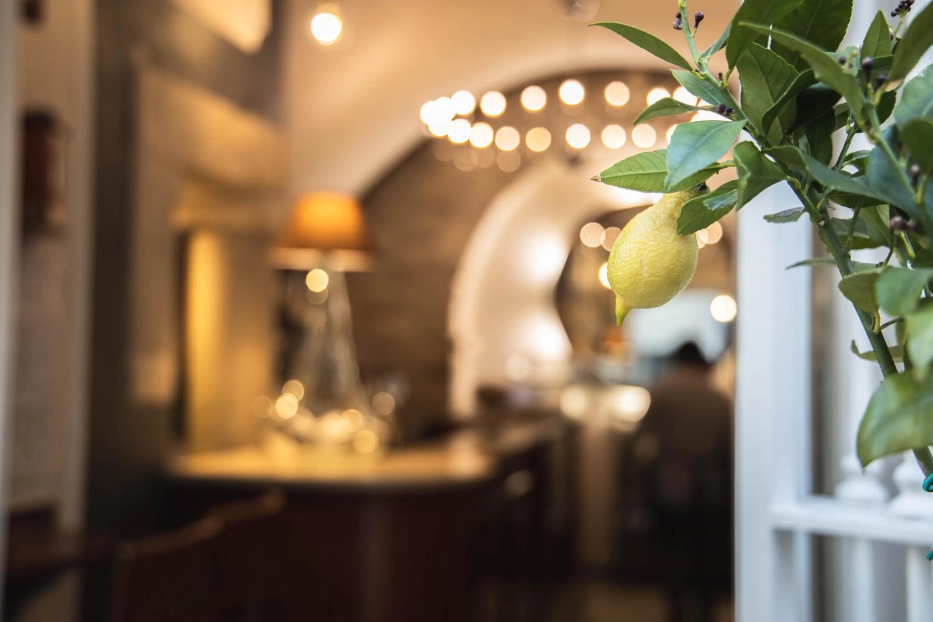 Restaurant/places to eat in Beltrani Rent Rooms