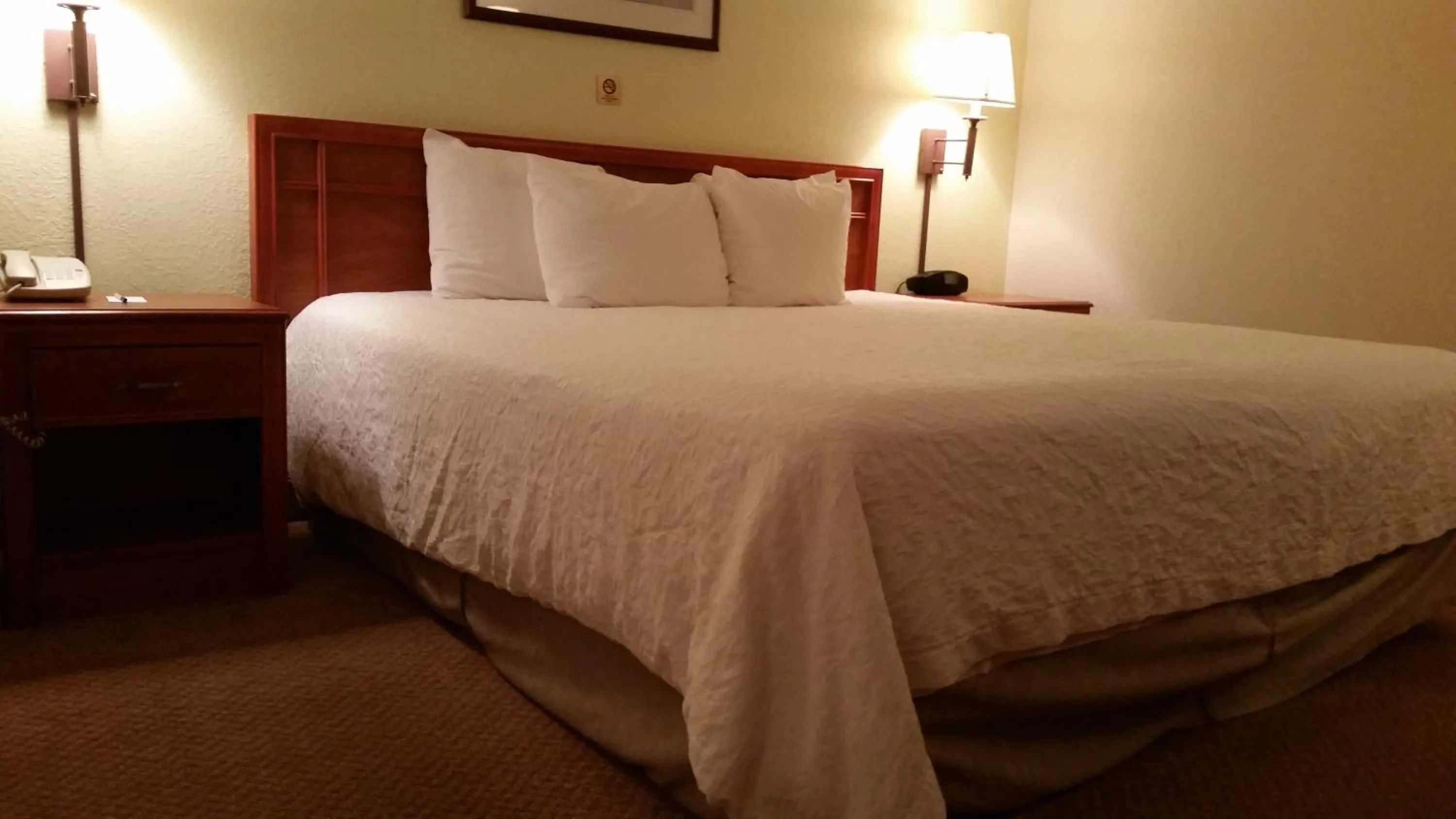 Bed in Oceanfront Lodge