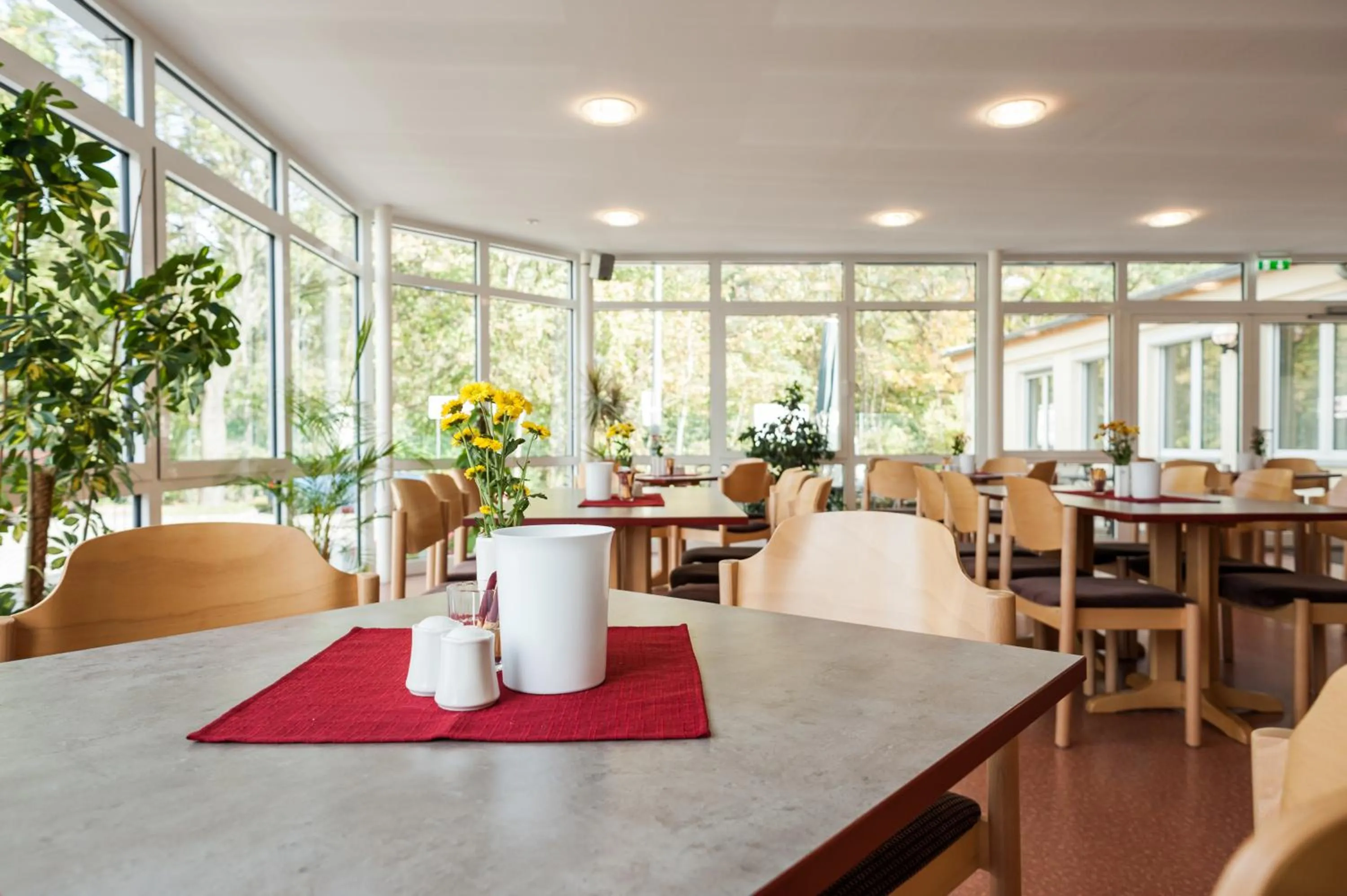 Restaurant/places to eat in Sportpension Dresden