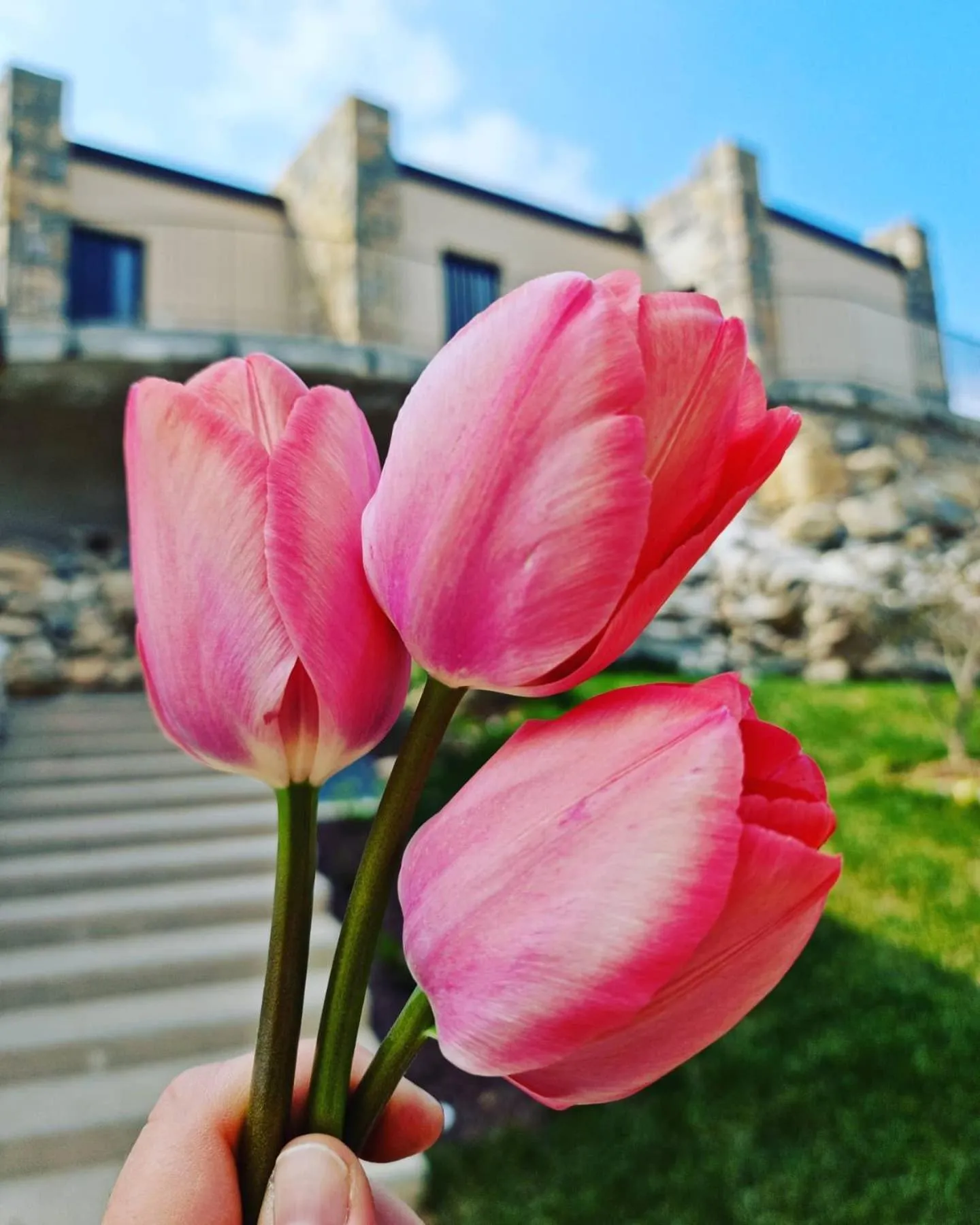 Property building in Elle Ecoholiday