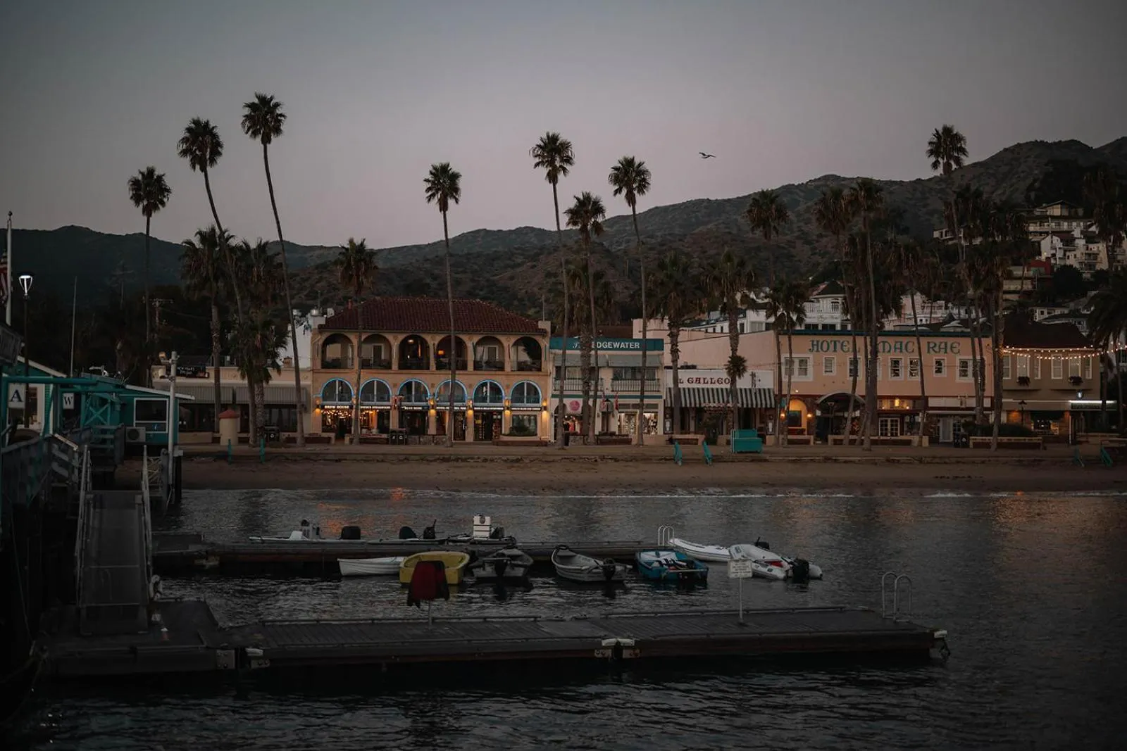 Property building in The Edgewater