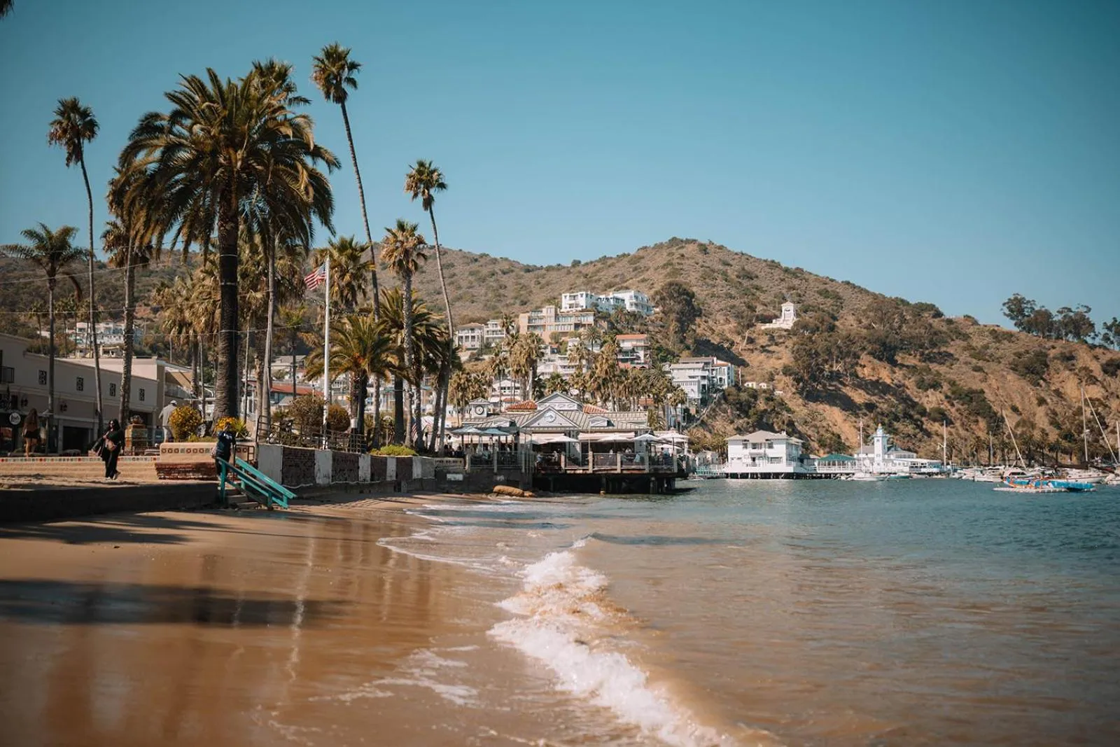 Natural landscape in The Edgewater