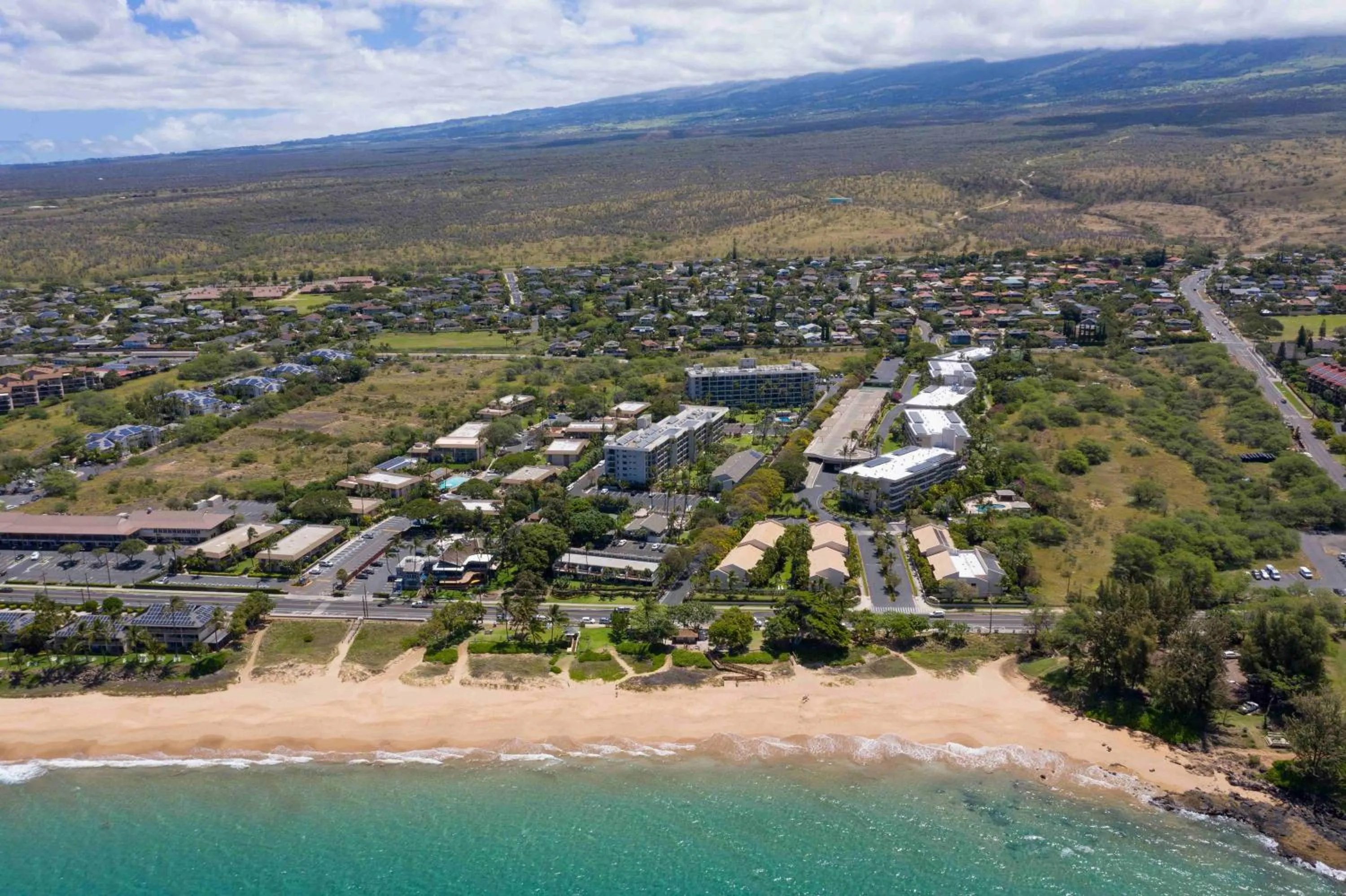 Aloha Kahakai