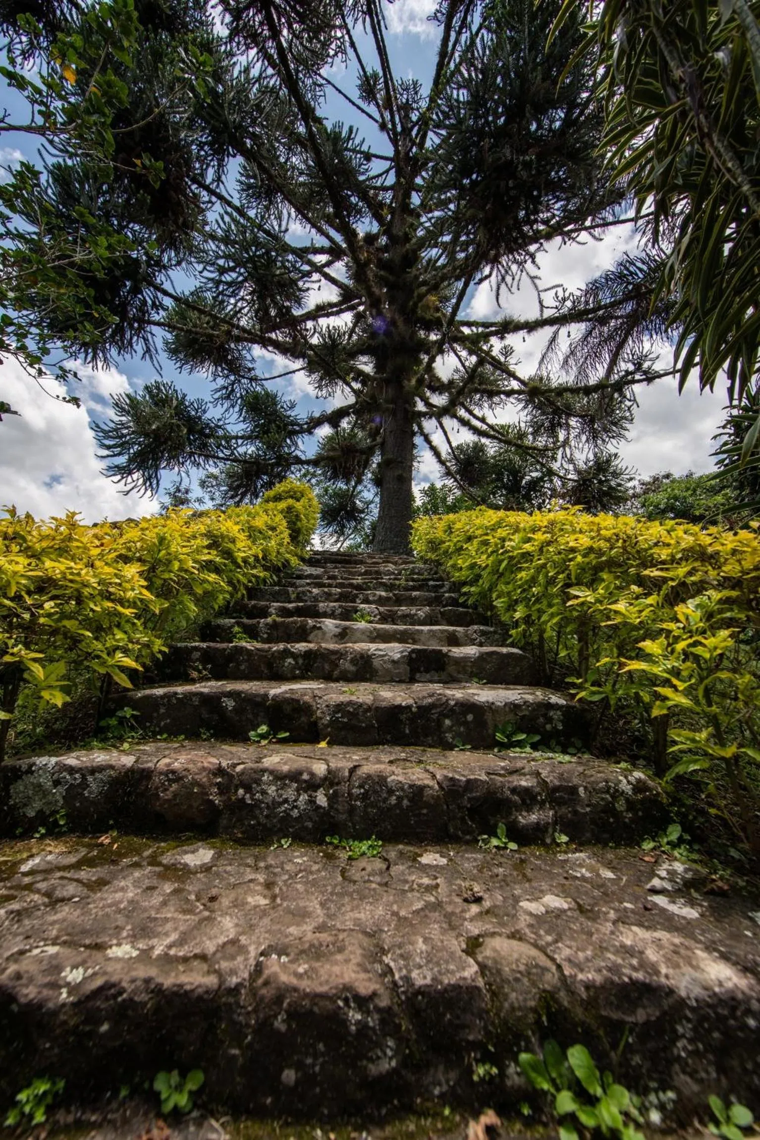 Hotel Hacienda San Bartolo