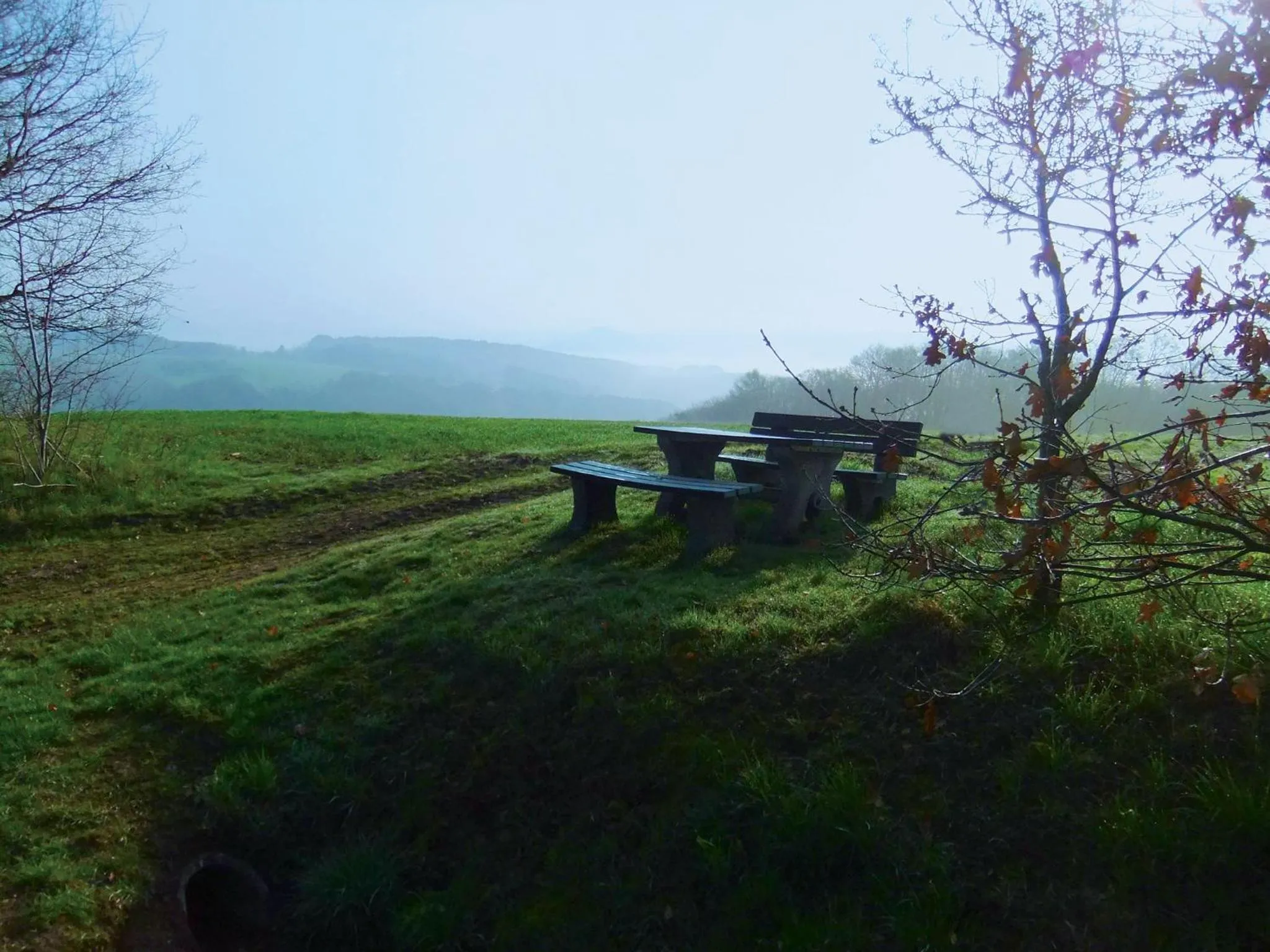 Natural landscape in Landhotel Windlicht
