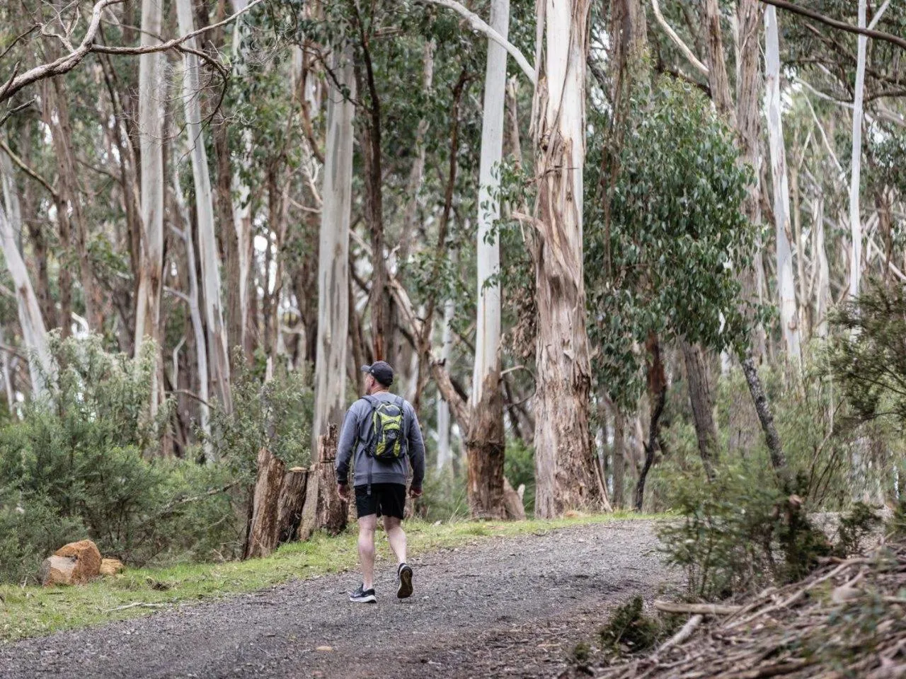 Natural landscape in Hanging Rock Views