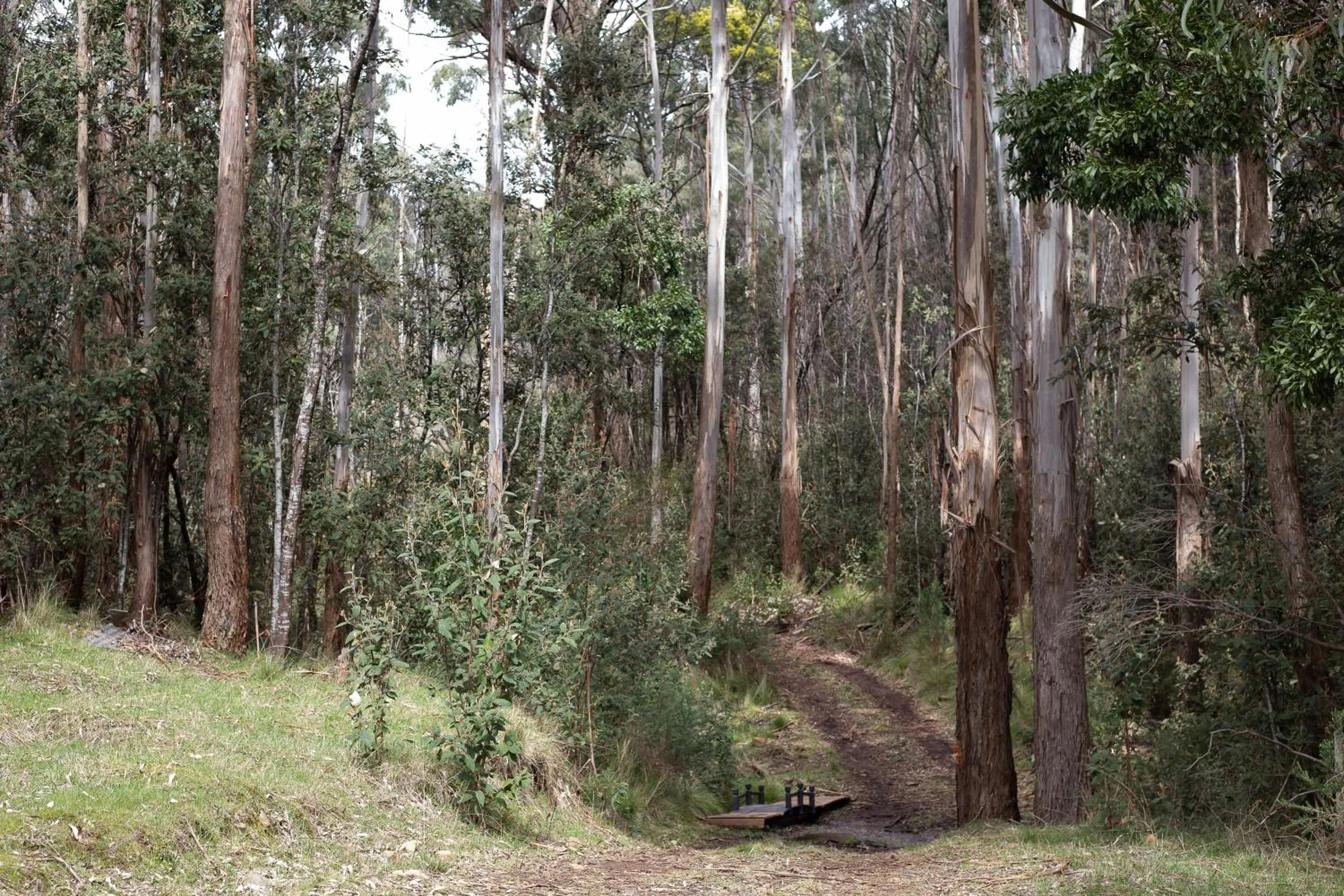 Natural landscape in Hanging Rock Views