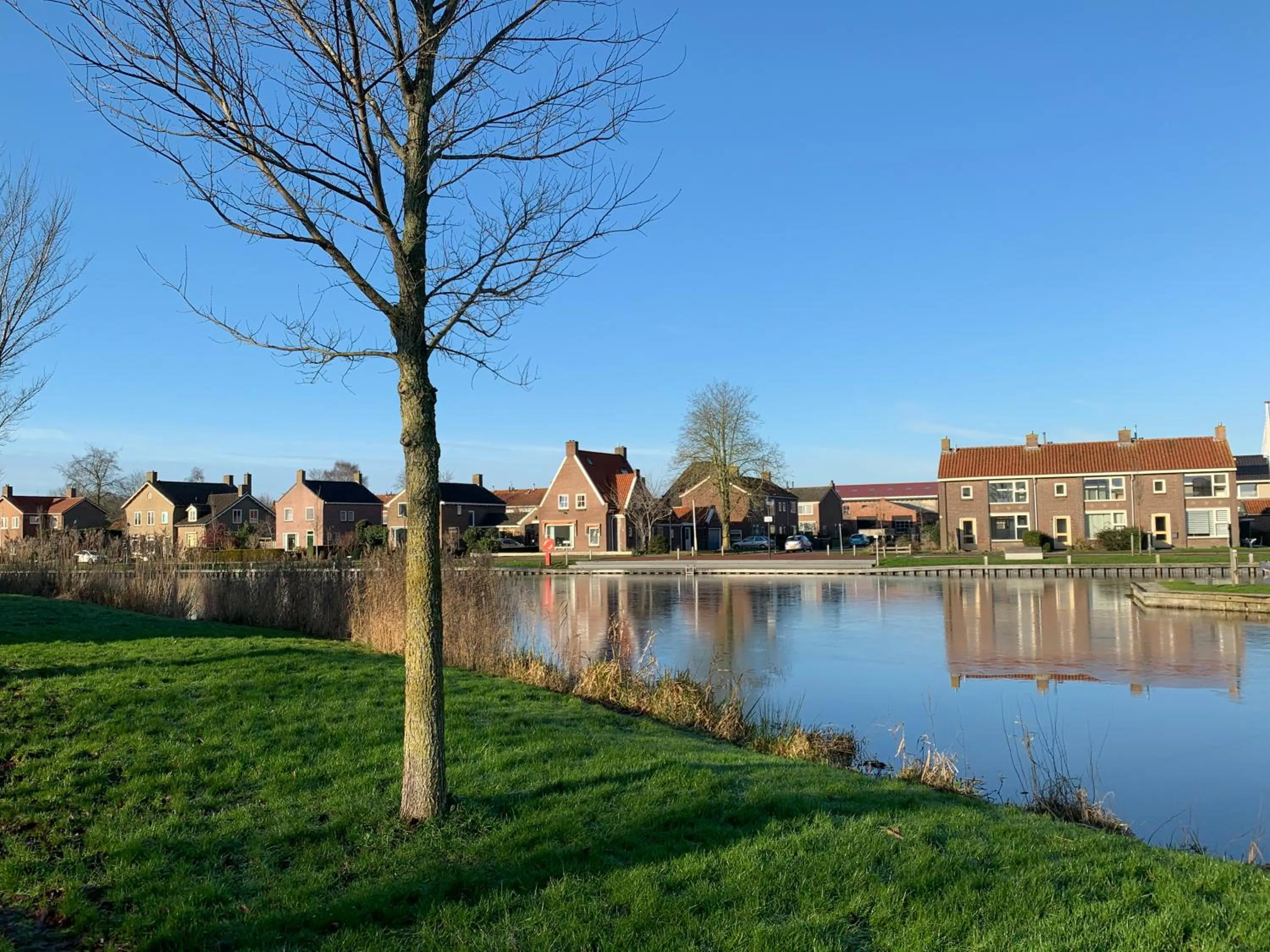 Property building in Blommehûs