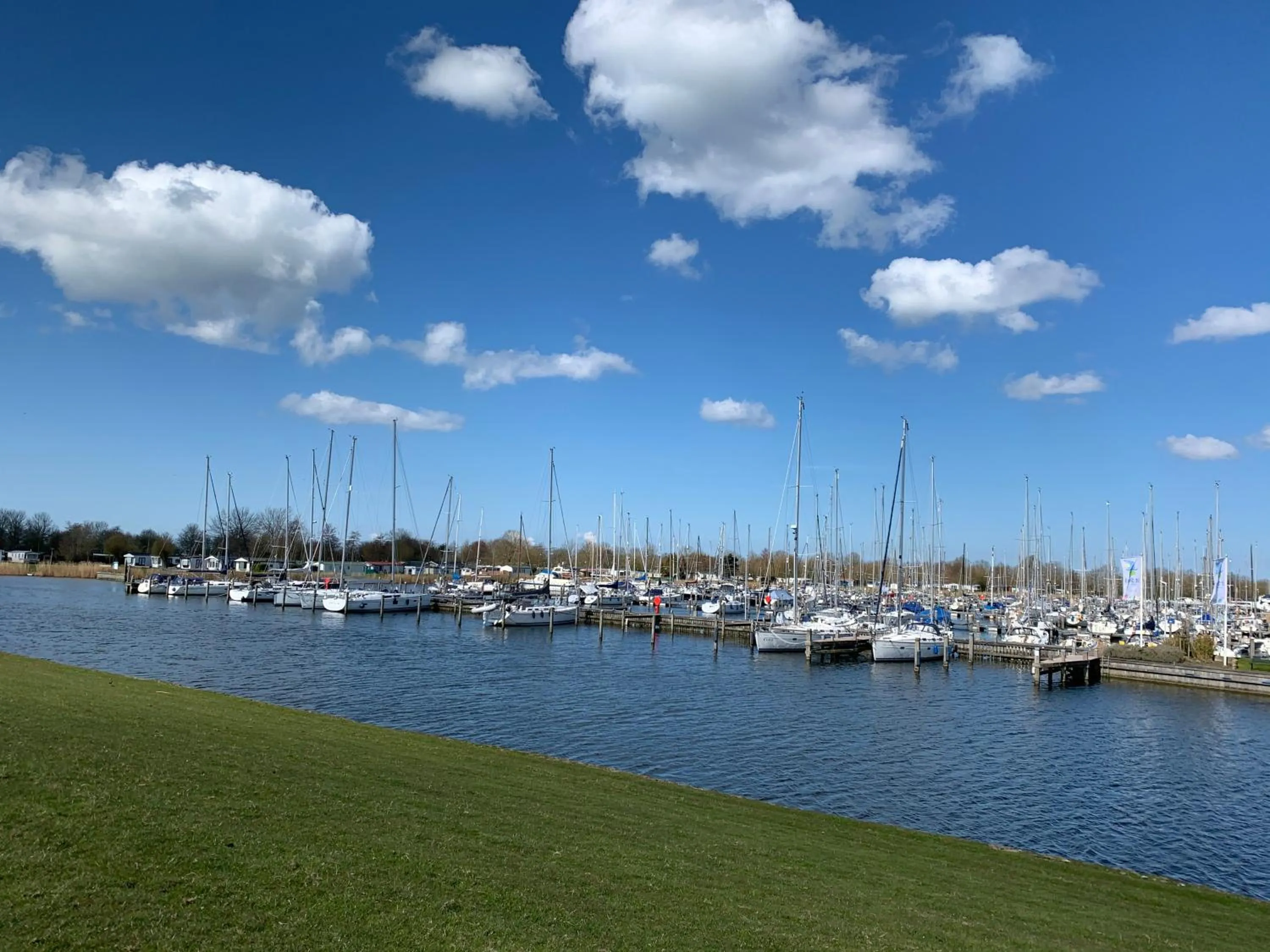 Natural landscape in Blommehûs