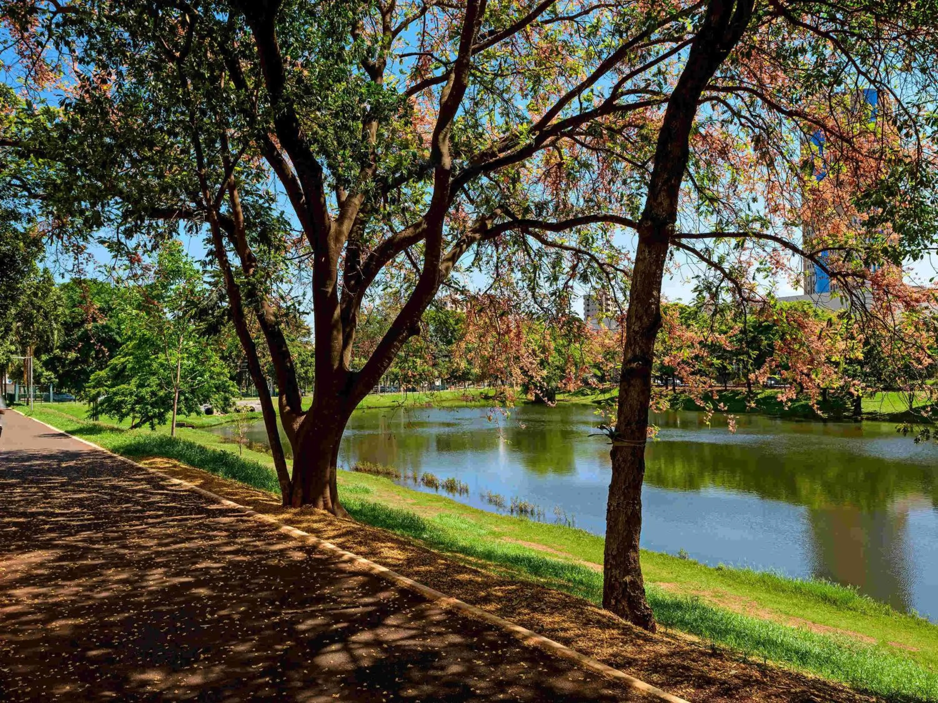 Property building in ibis Ribeirao Preto Shopping