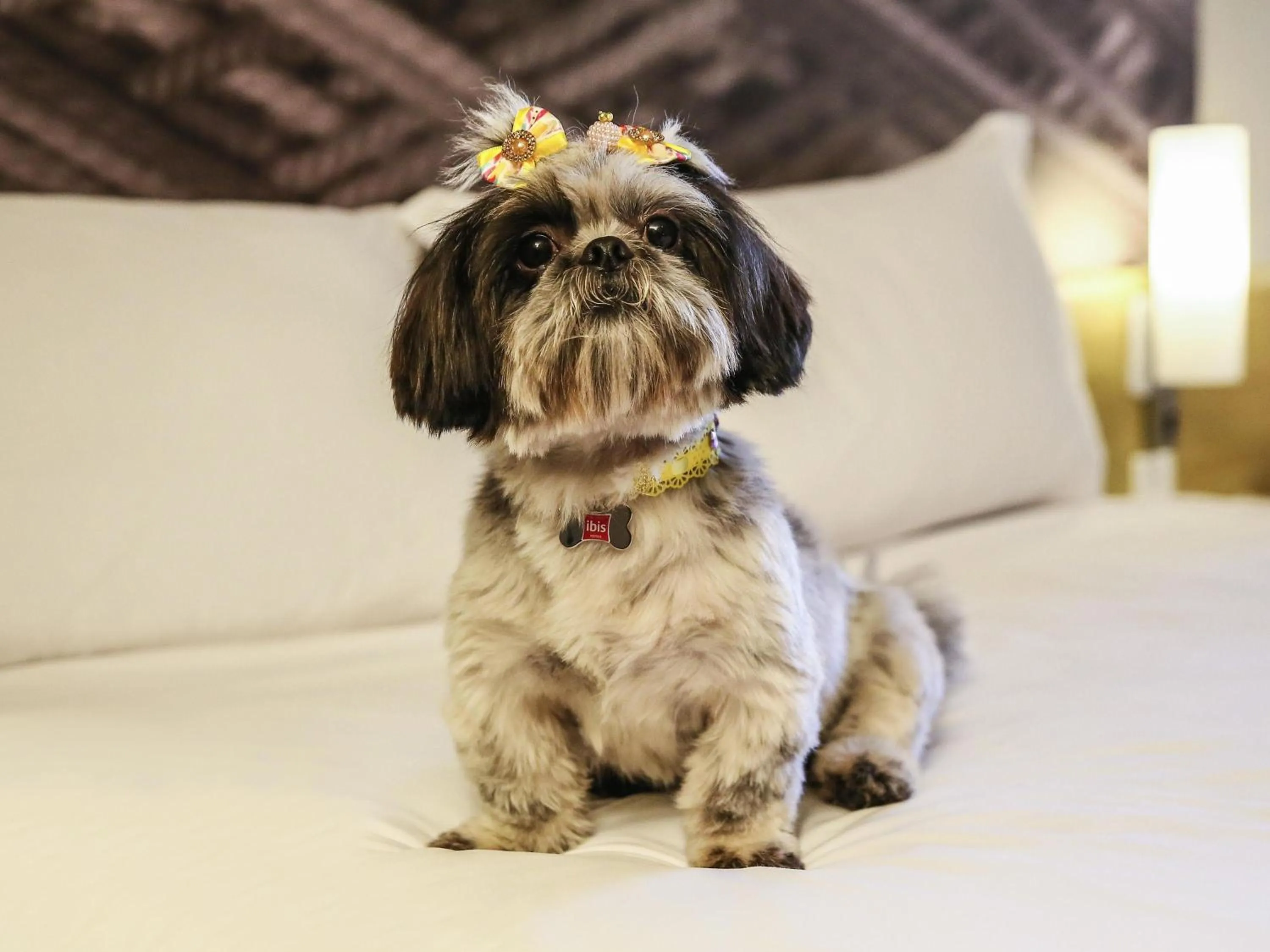 Other in Ibis Maringa