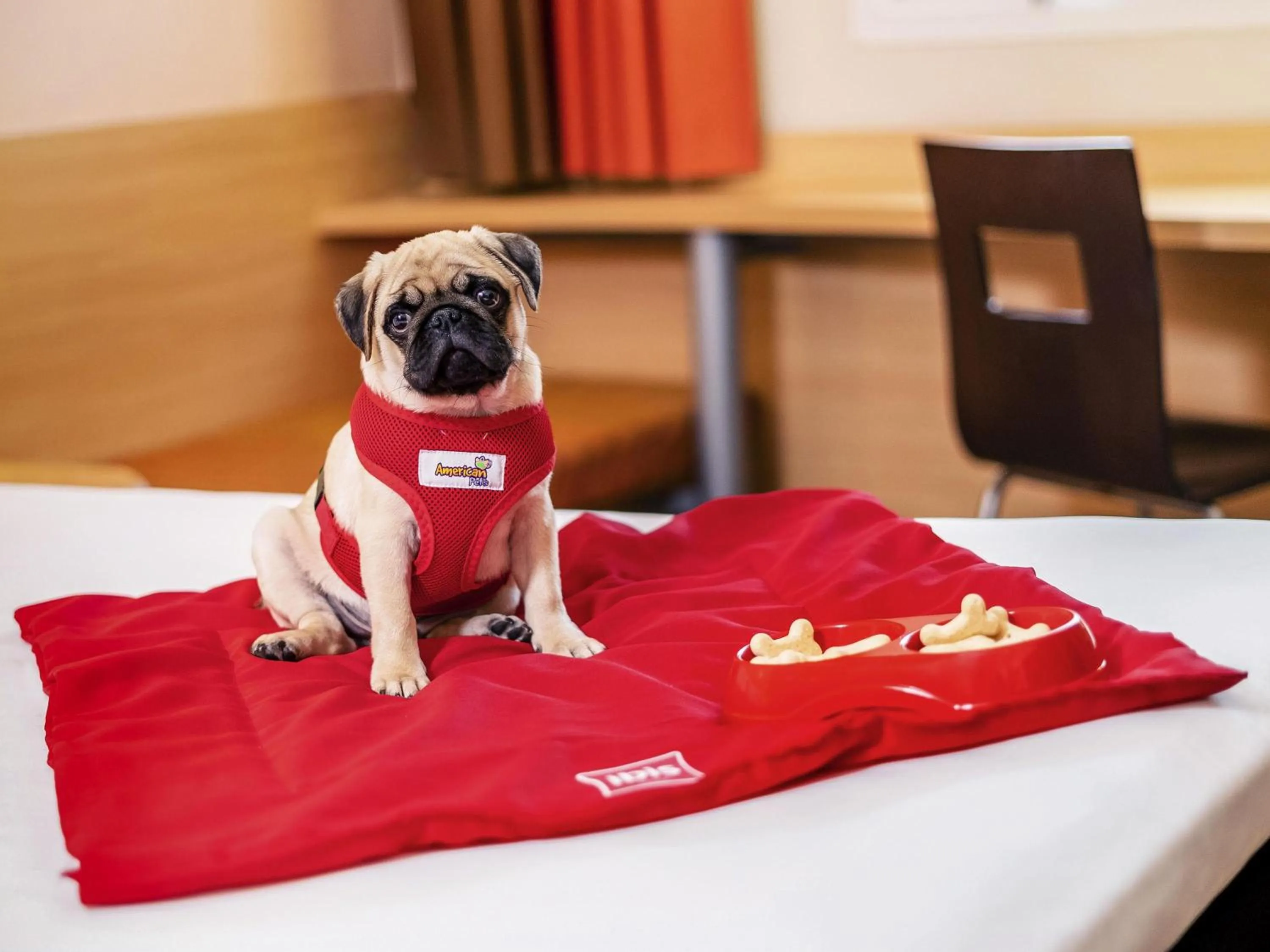 Other in ibis Sao Paulo Interlagos