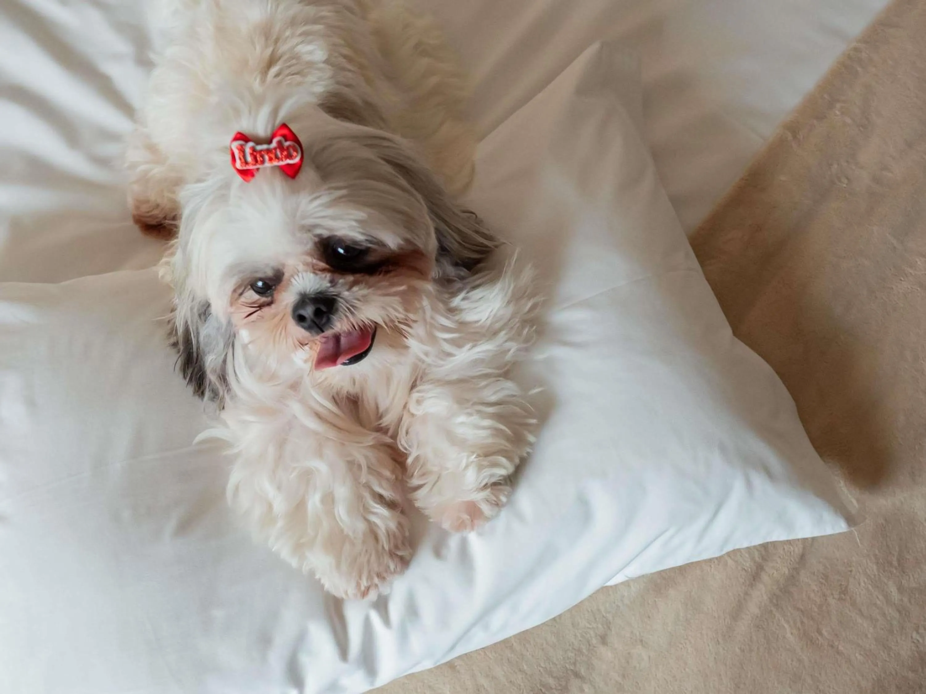 Bedroom in Ibis Florianopolis