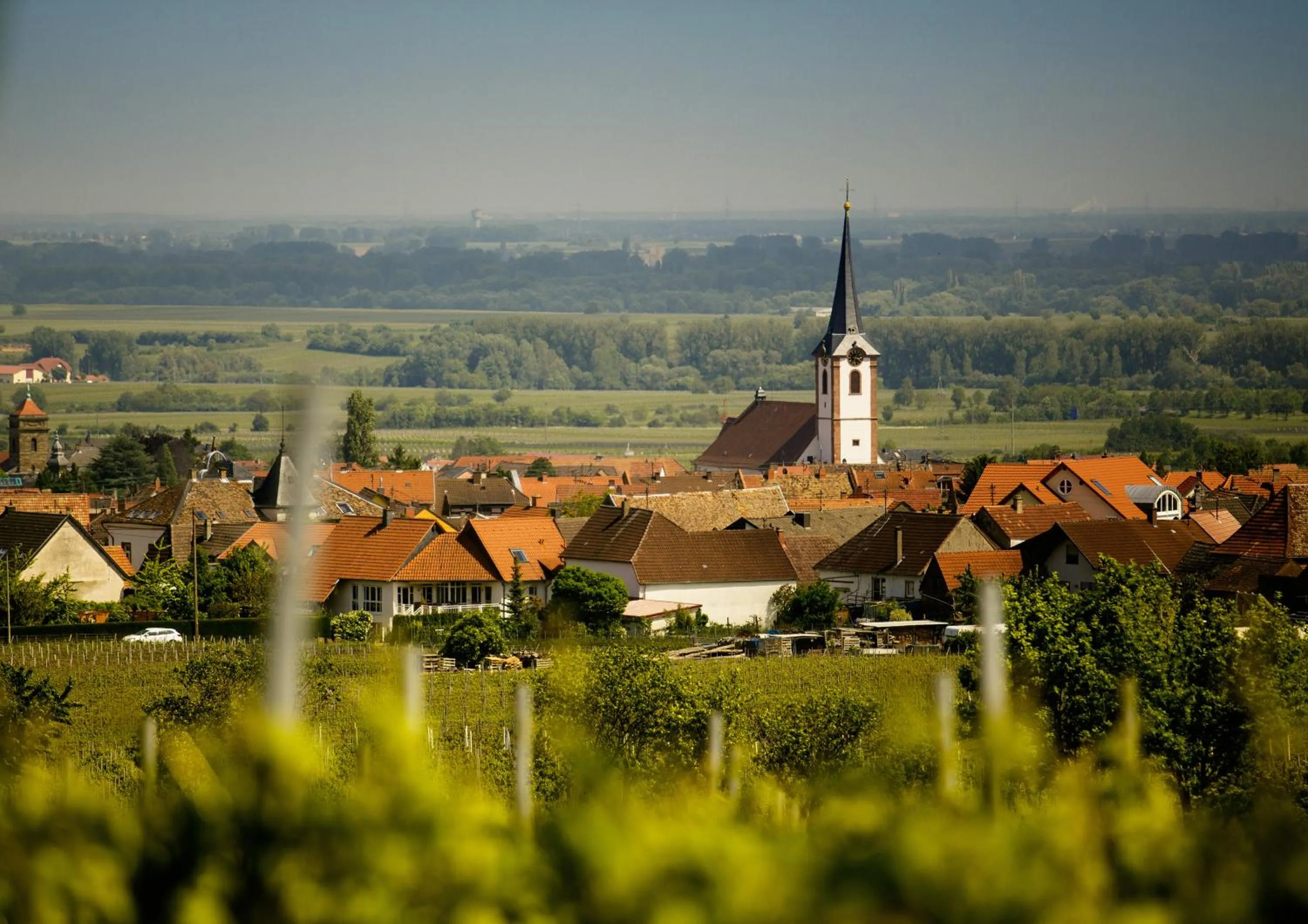 Natural landscape in Hotel-Residenz Immenhof