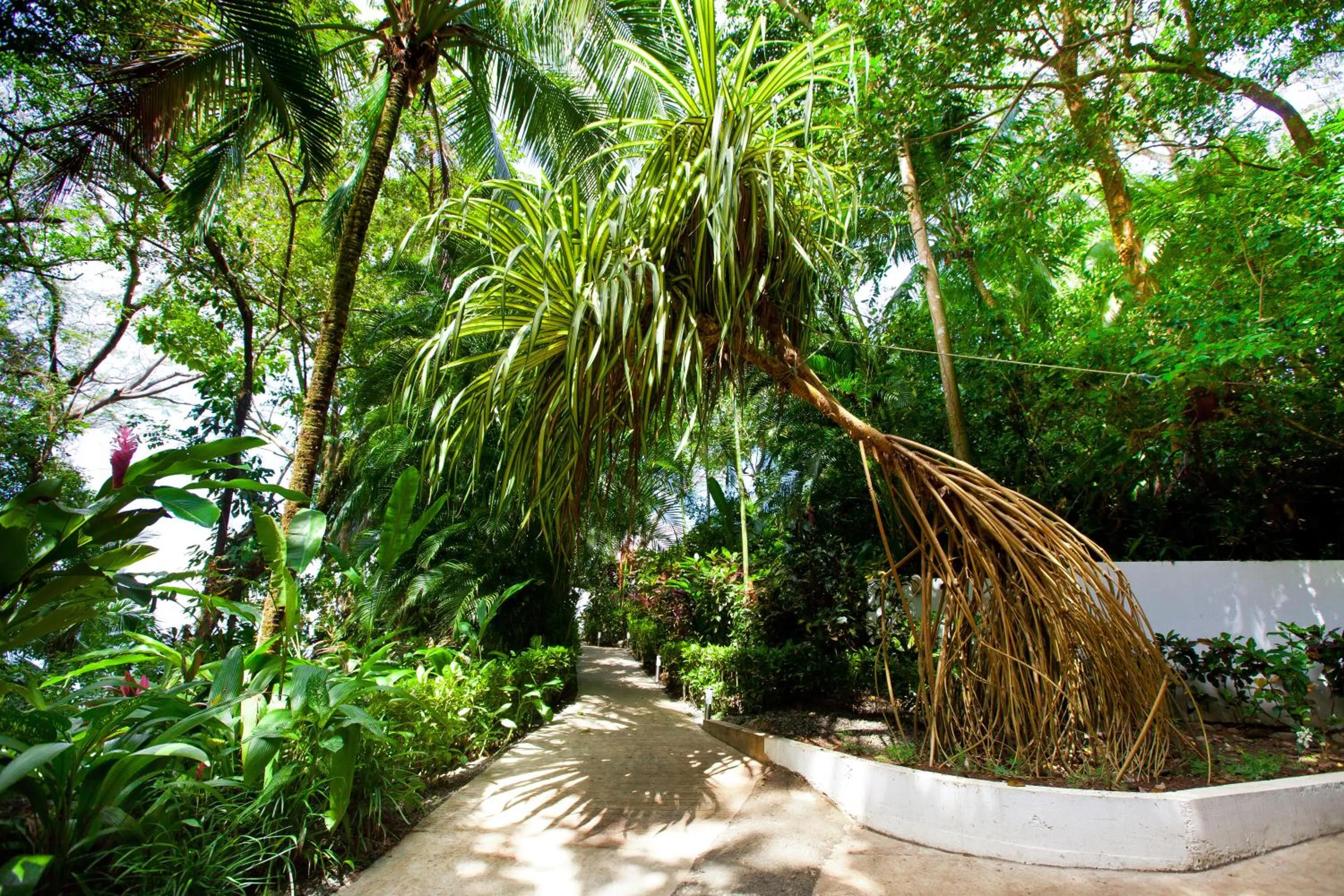 Day in Makanda by The Sea Hotel Adults Only