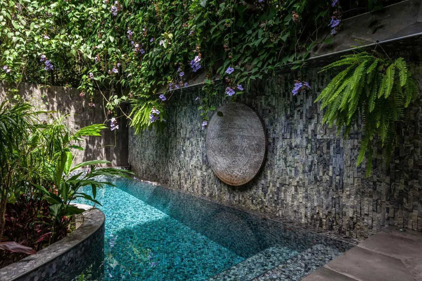 Swimming pool in Makanda by The Sea Hotel Adults Only