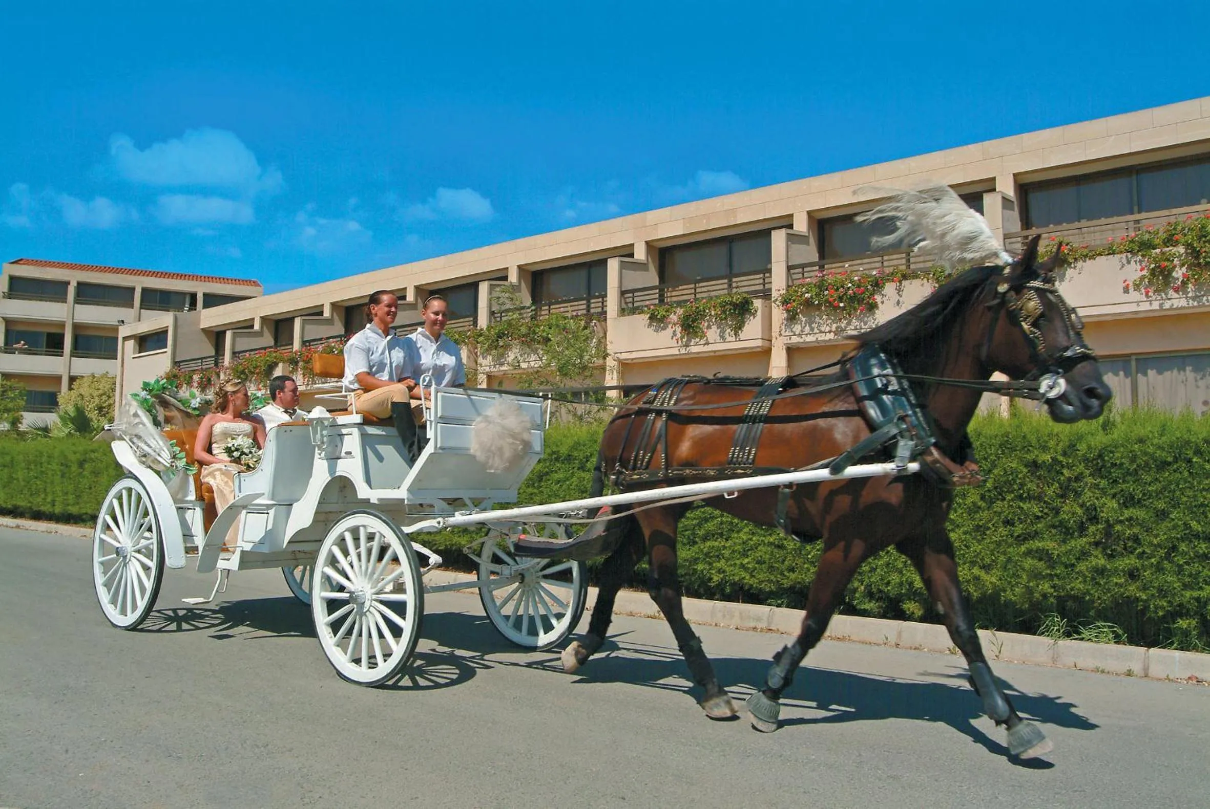 Day in Olympic Lagoon Resort Ayia Napa