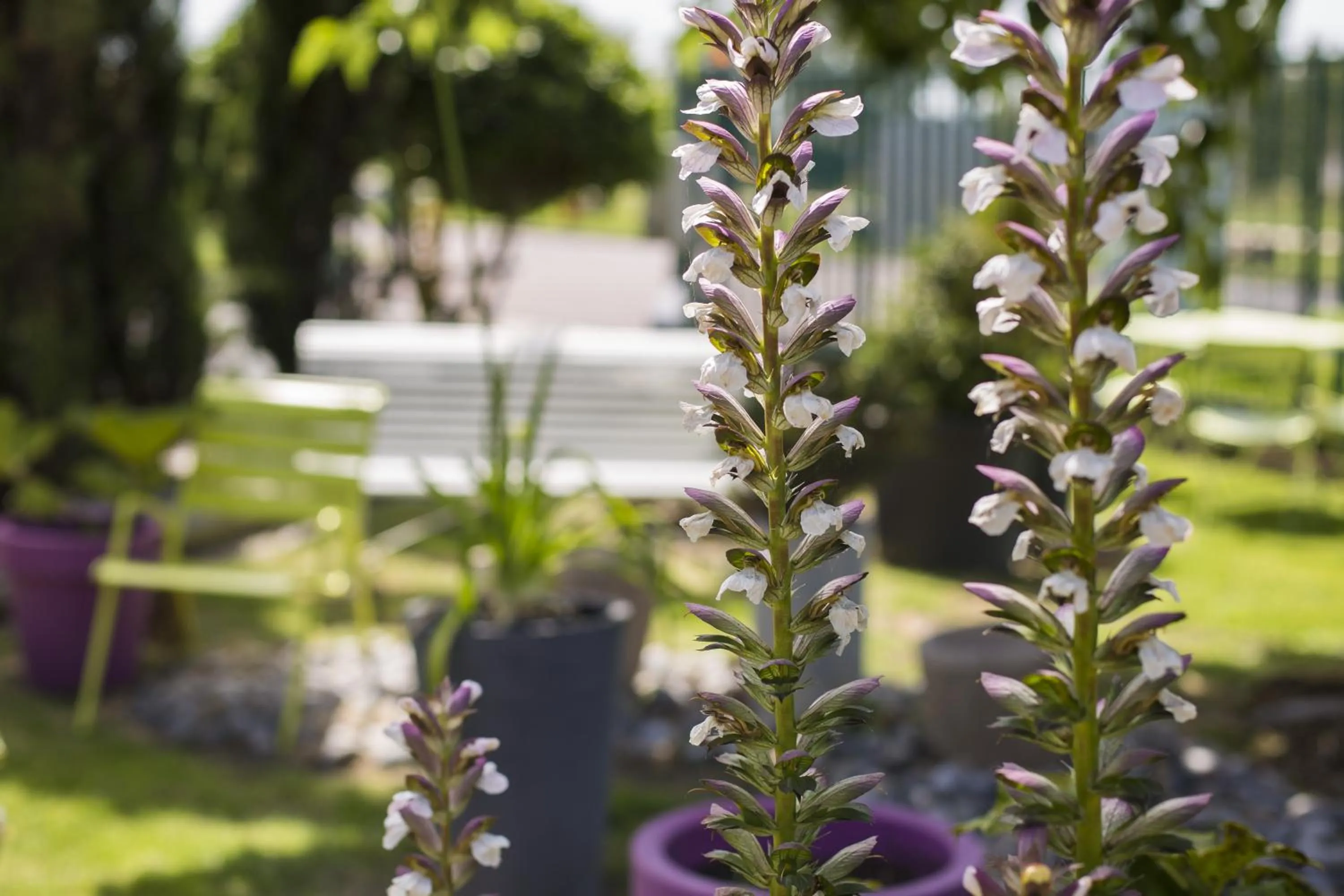 ibis budget Cabourg Dives sur Mer