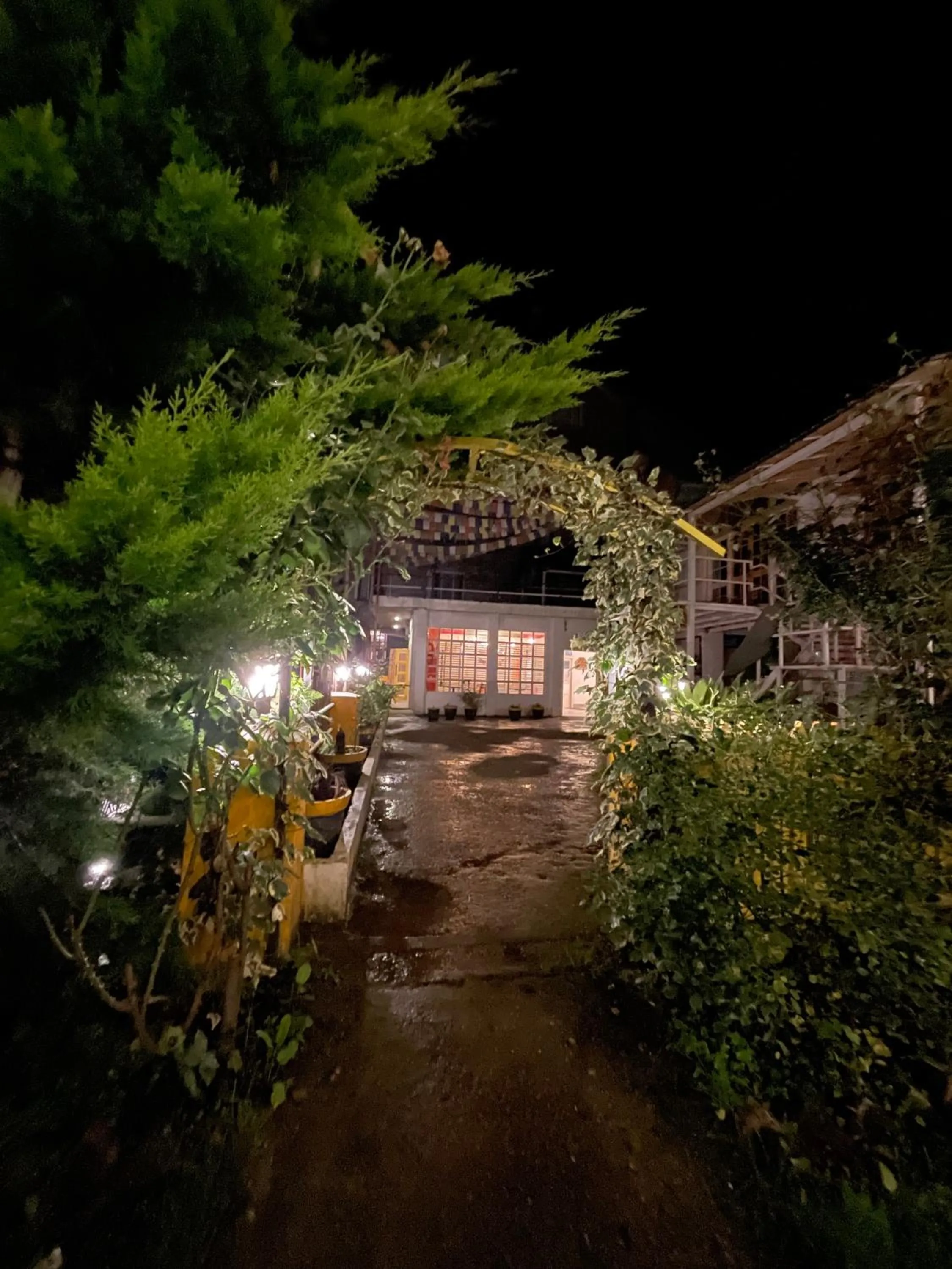 The Village Manali- Café, Bar & Bistro