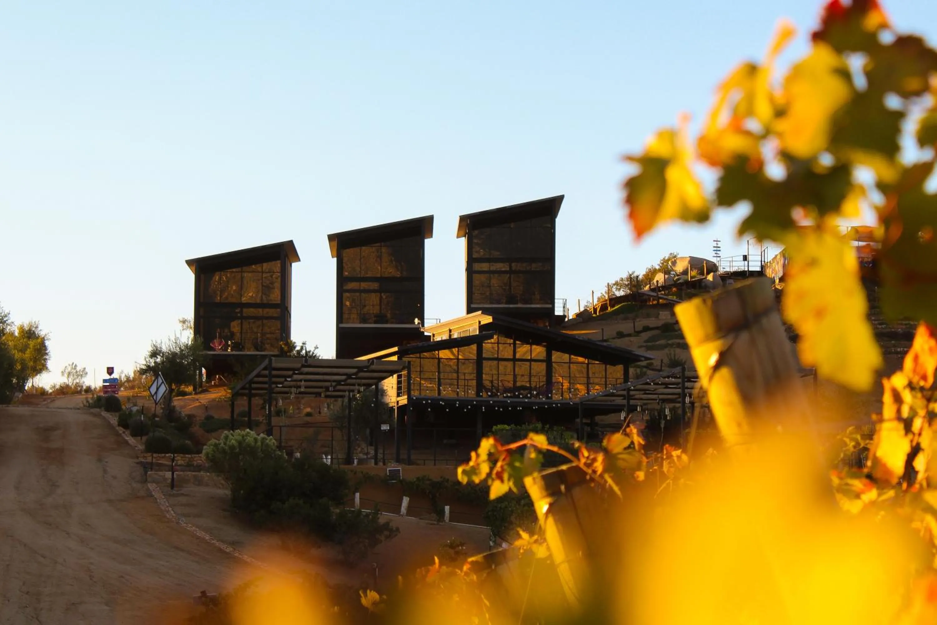 Property building in Origen75 Loft - Villas - Skypool - Viñedo, Valle de Guadalupe